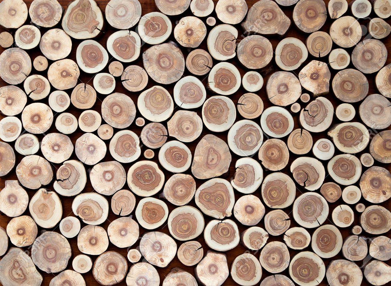 Tree Stump Wallpapers - Wallpaper Cave