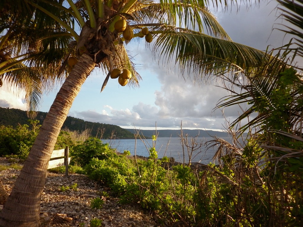 Christmas Island Is Real—Here's Why You Should Go. Condé Nast Traveler