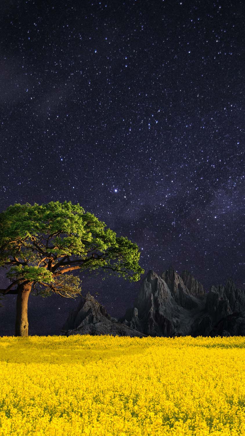 Night Nature Landscape IPhone Wallpaper HD Wallpaper, iPhone Wallpaper