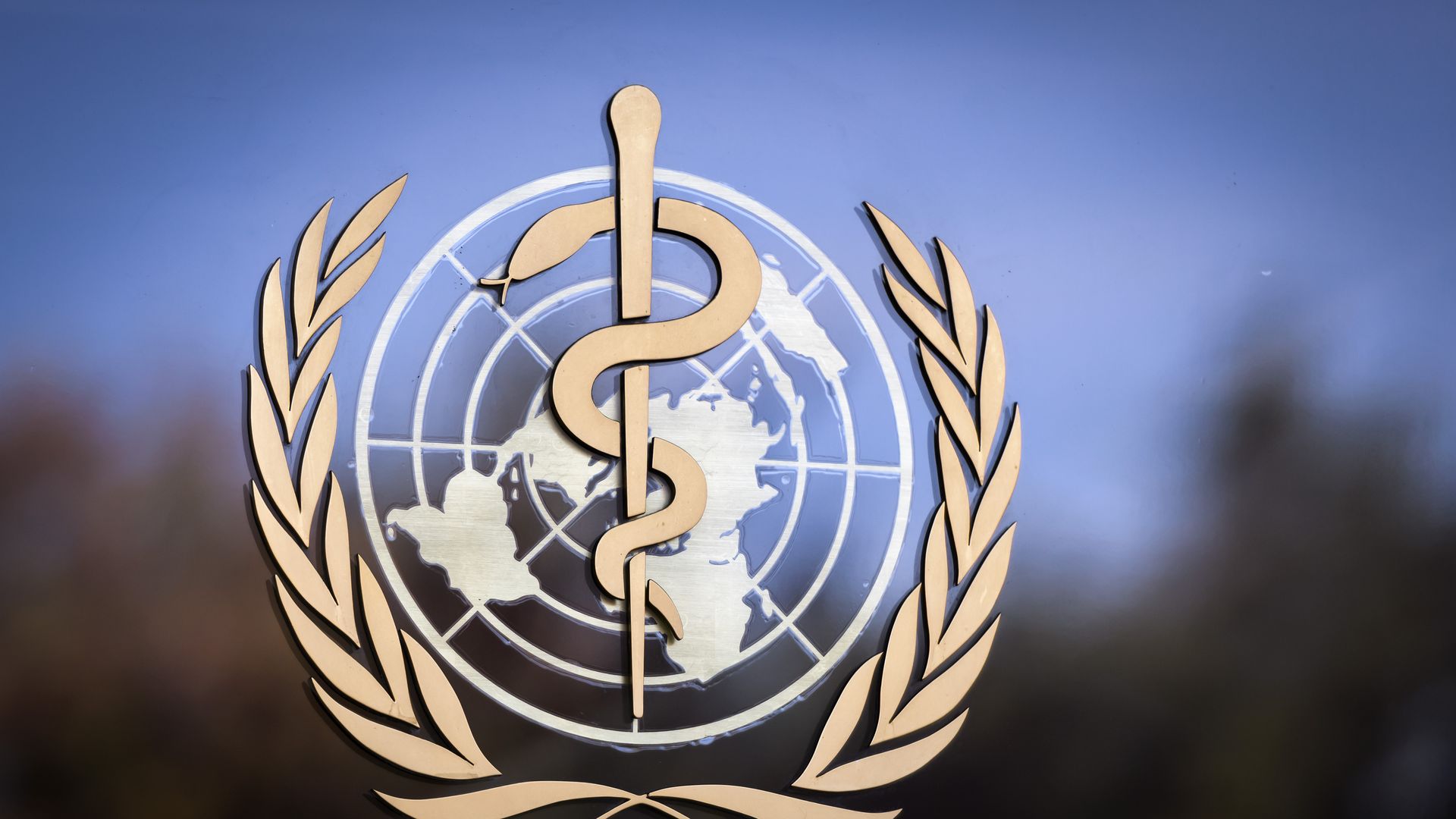 World Health Organization calls for strong gene editing framework