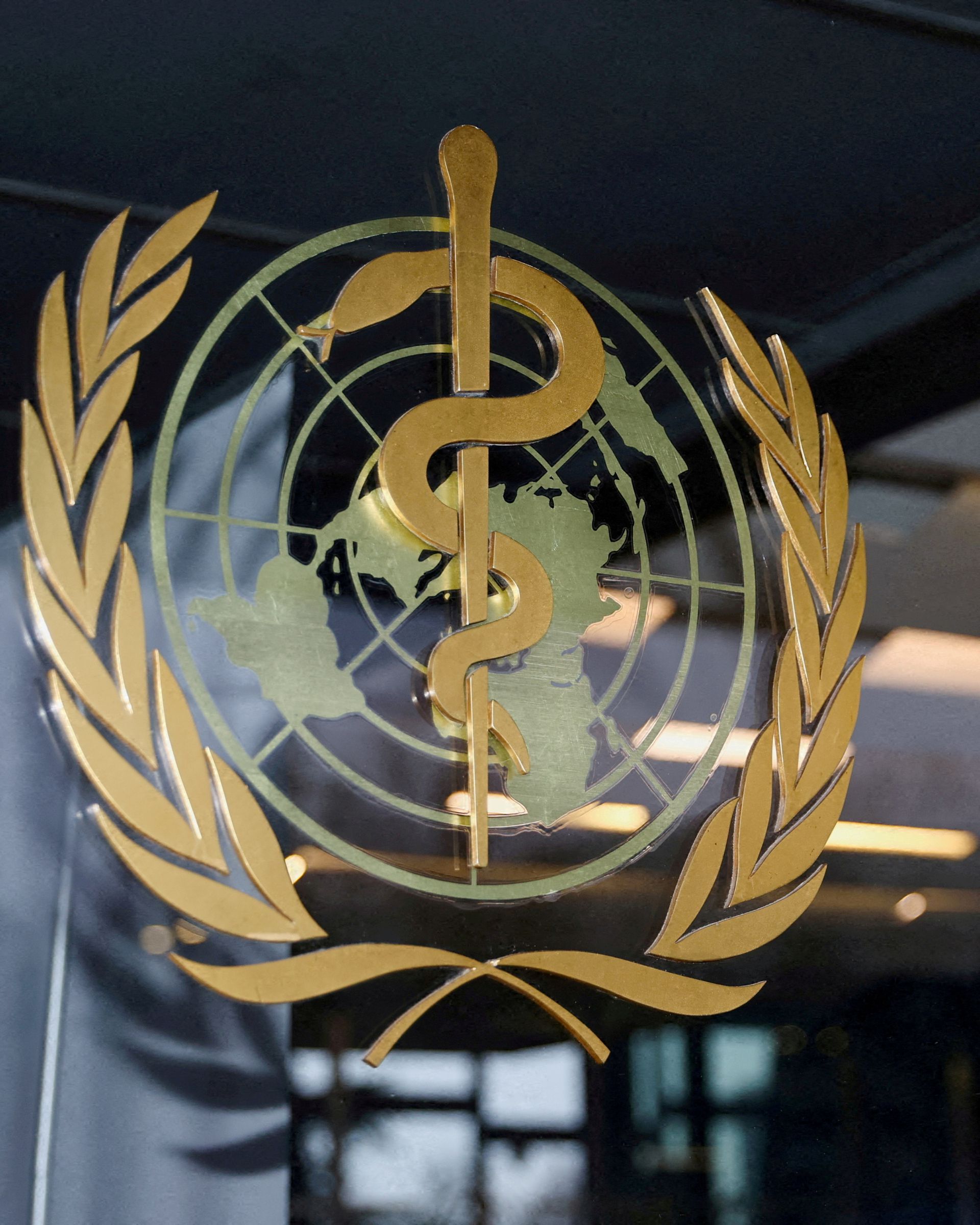 Explainer: How the World Health Organization might face future pandemics