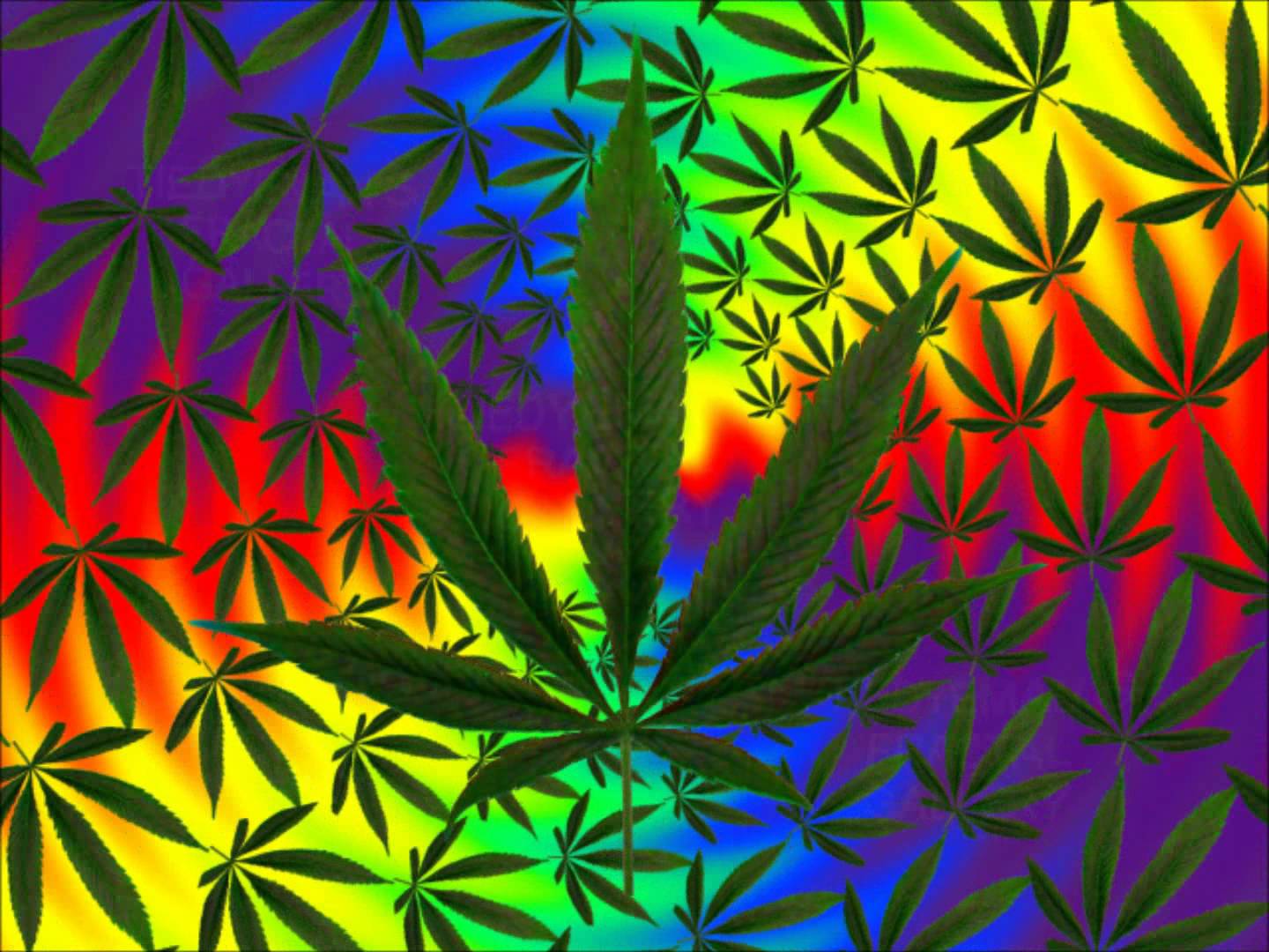 Trippy Pot Leaf Wallpaper