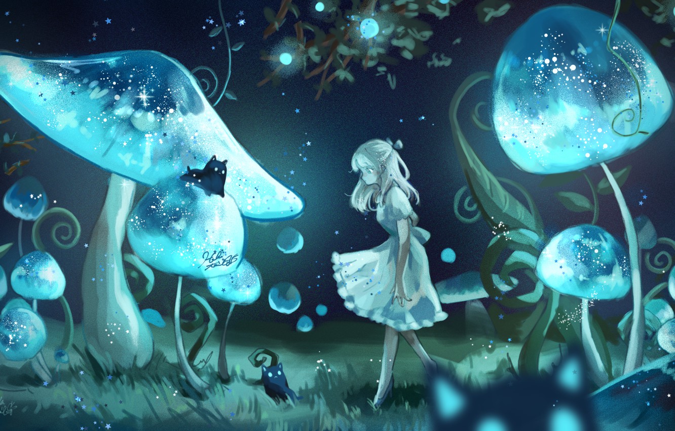 Wallpaper girl, cats, night, mushrooms, fantasy image for desktop, section арт