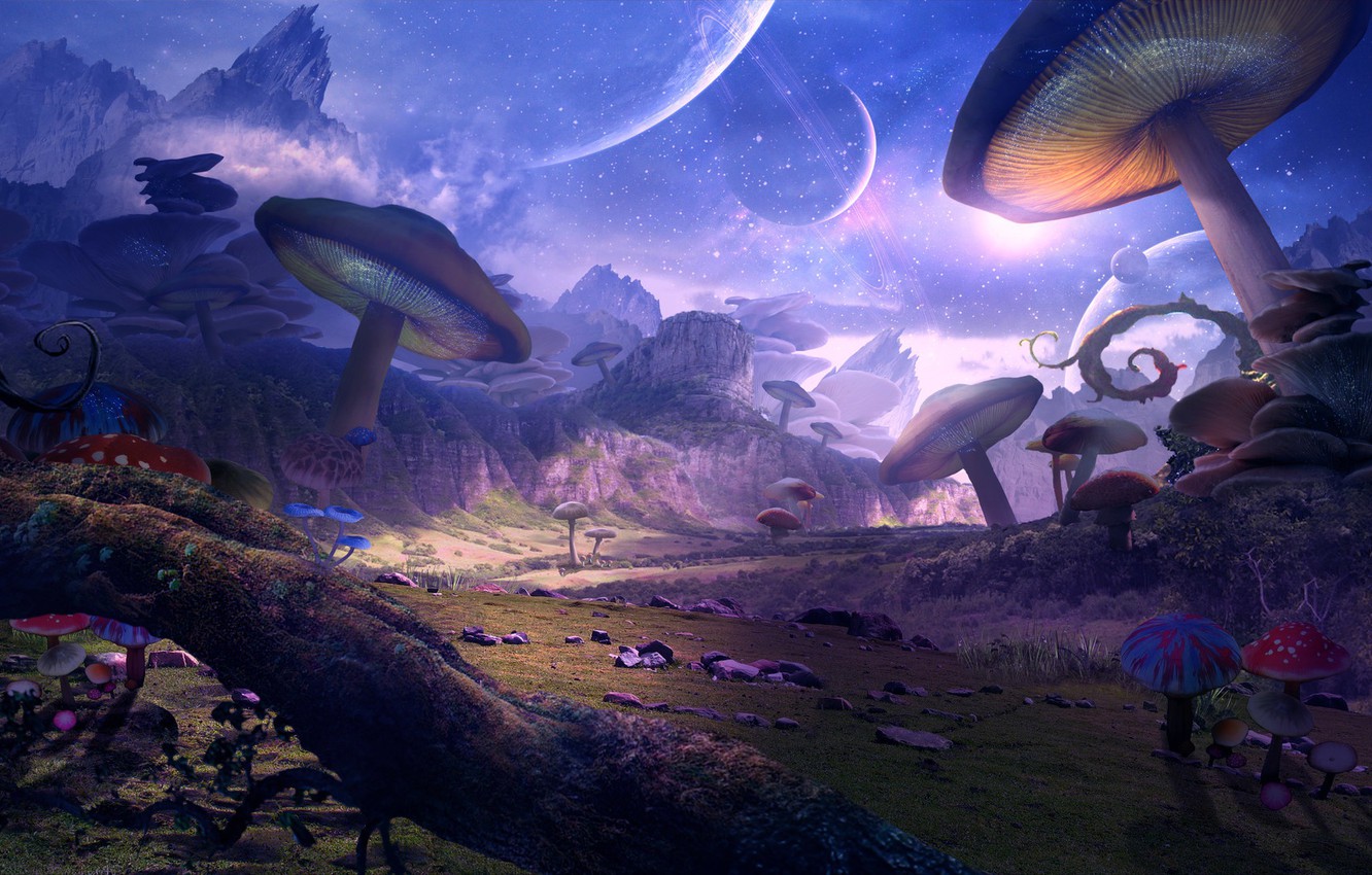 Wallpaper mushrooms, planet, art, fantasy image for desktop, section фантастика