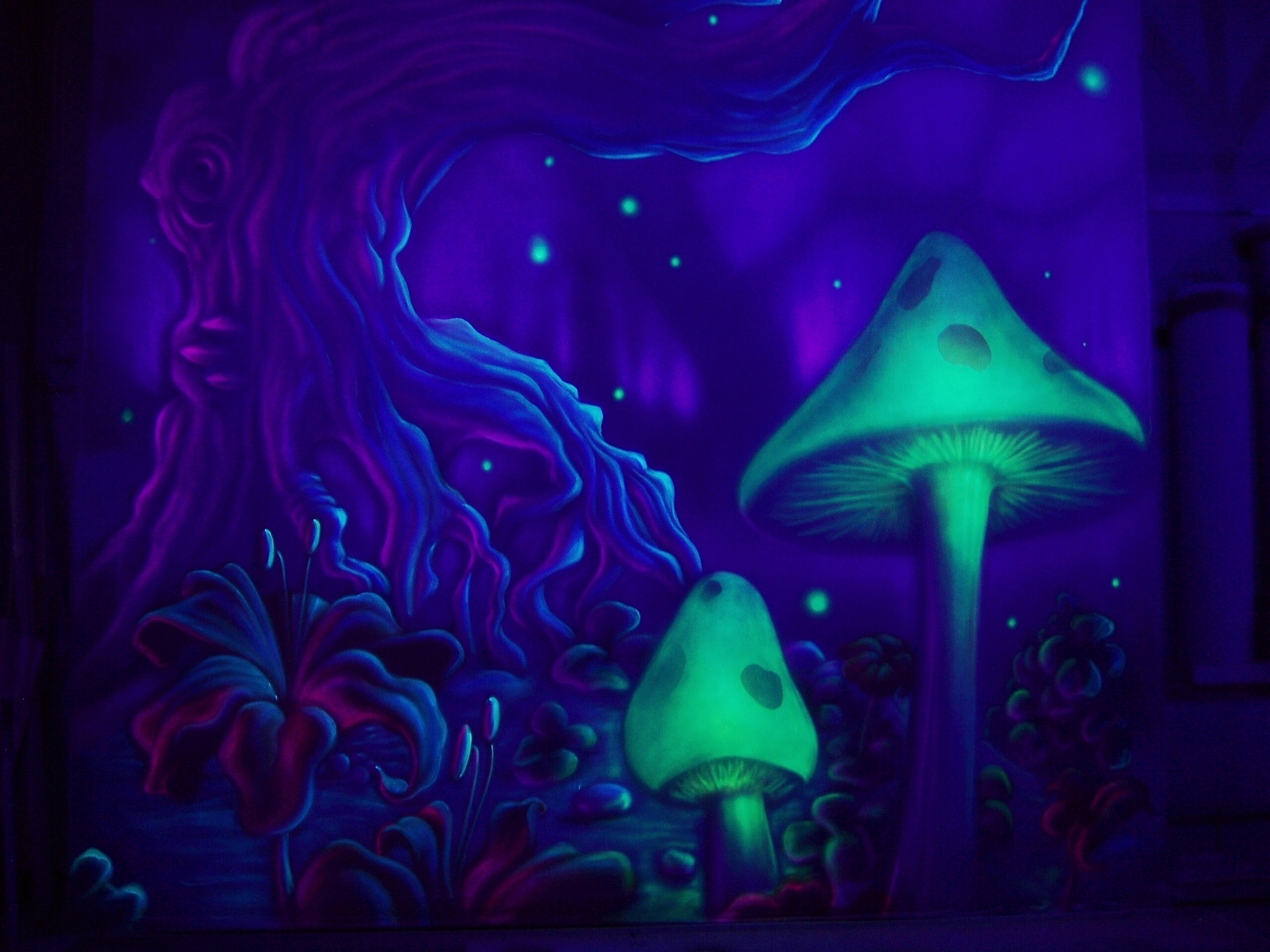 Fantasy landscapes art mushroom wallpaperx1920
