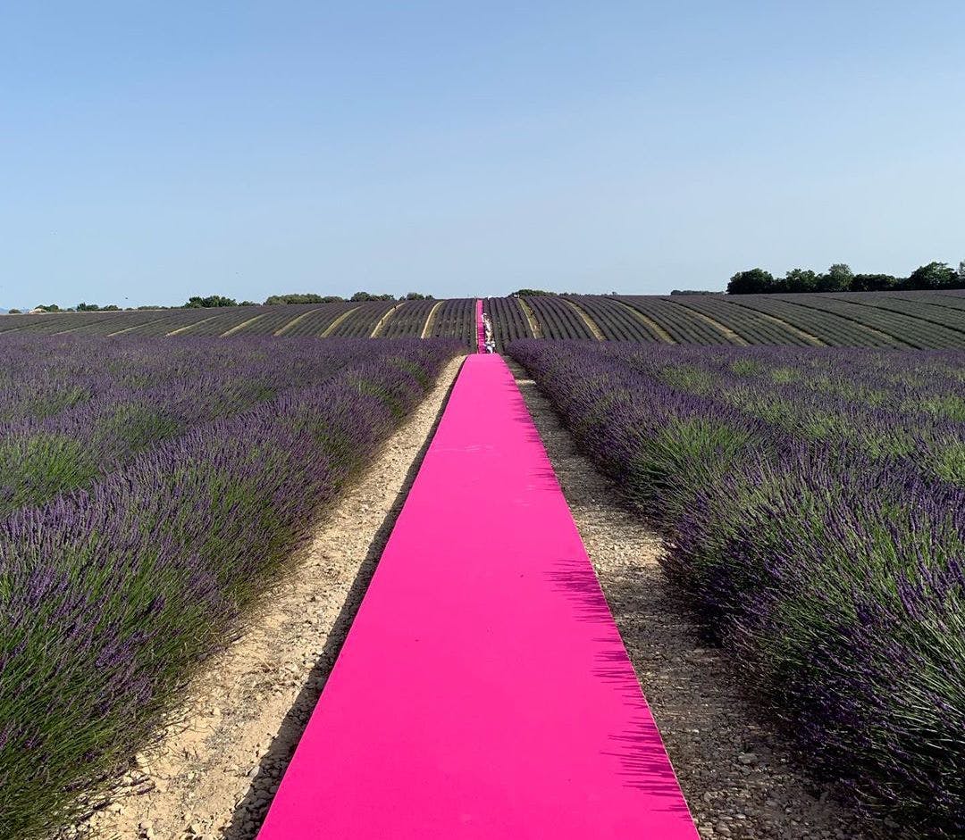 Jacquemus Takes Its S S20 Show To The Lavender Fields Of Provence. L'Officiel Singapore