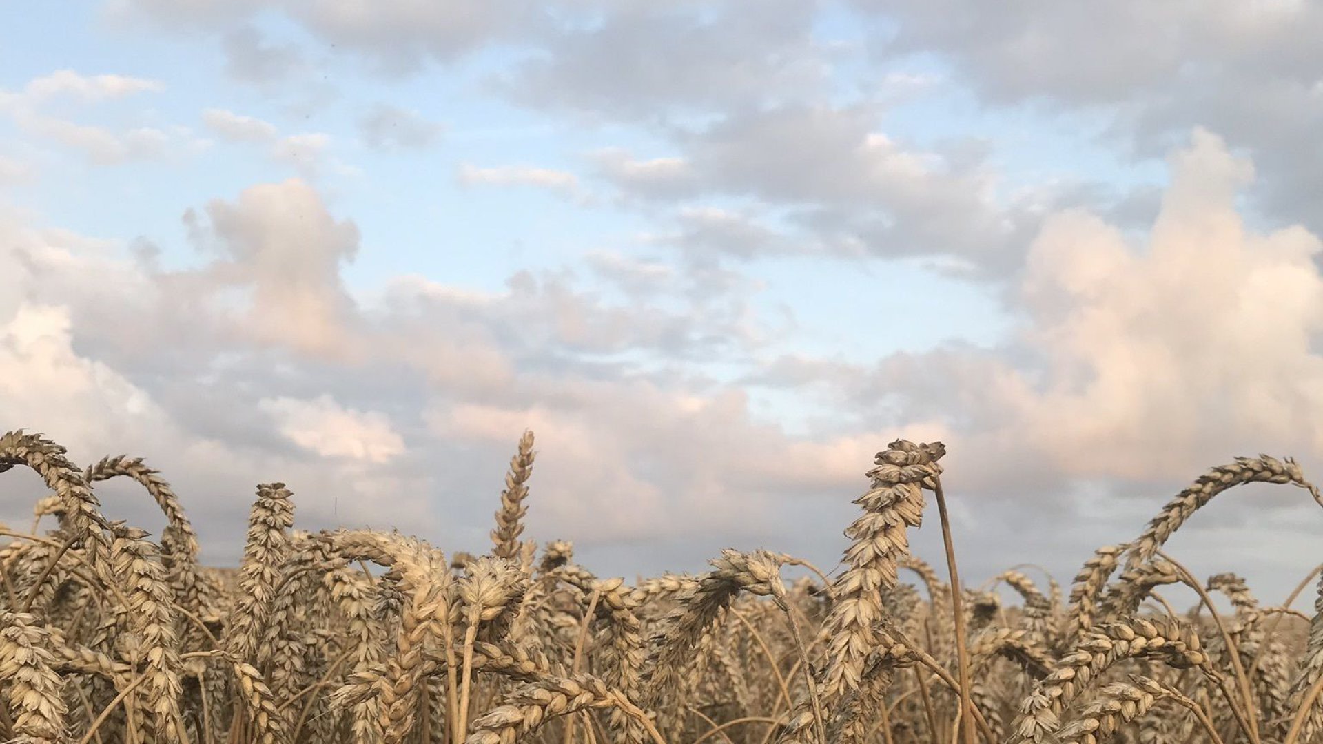 Jacquemus Wallpapers - Wallpaper Cave