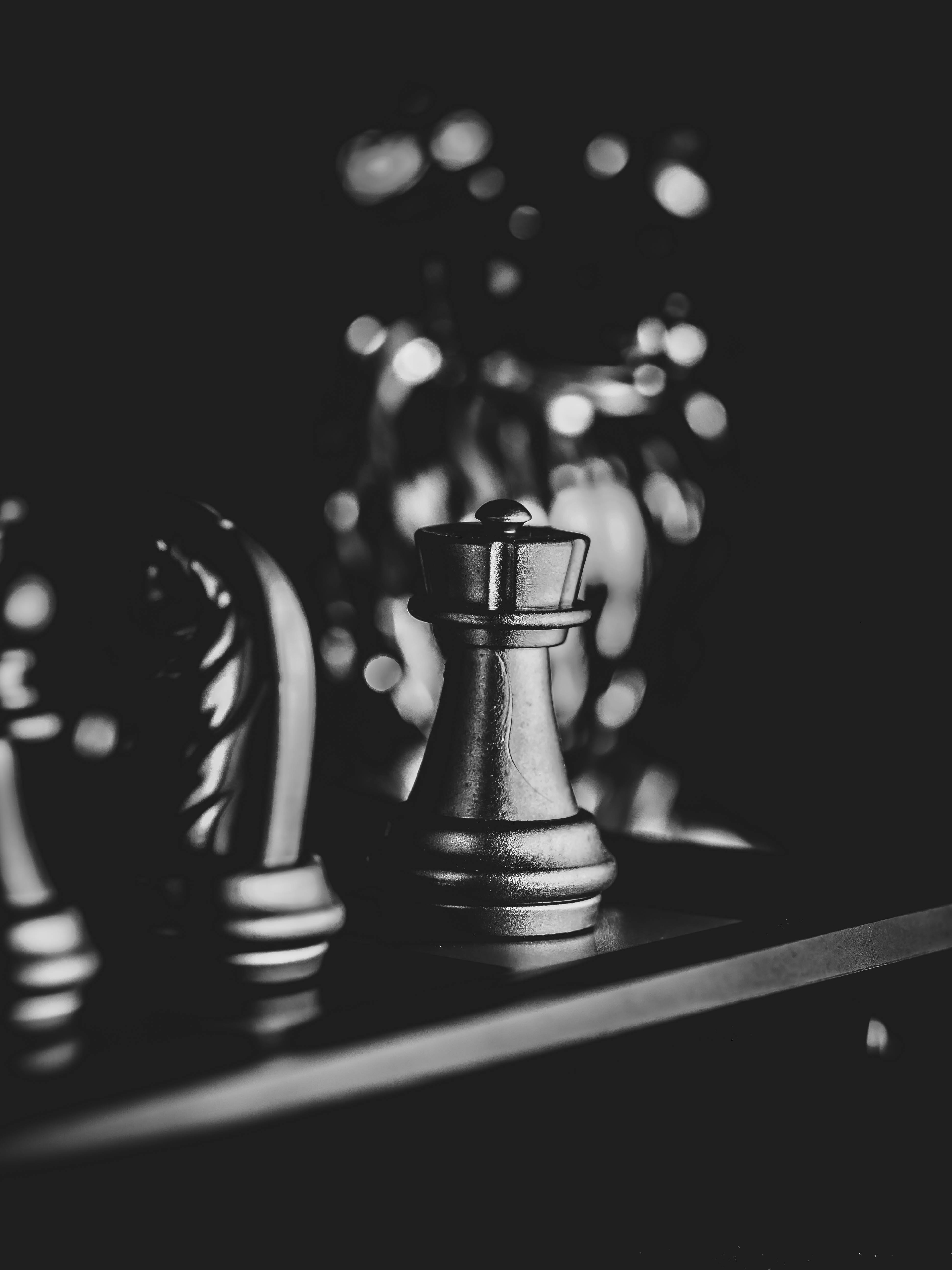 Chess Pieces in Black and White · Free
