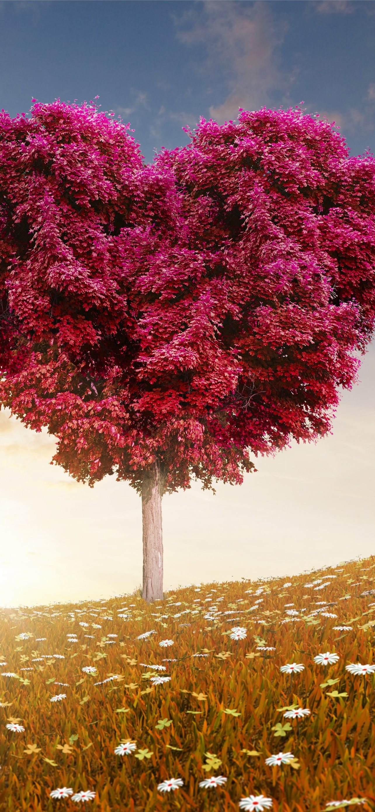 Meadows 5k 4k 8k tree love sun Nature iPhone Wallpaper Free Download