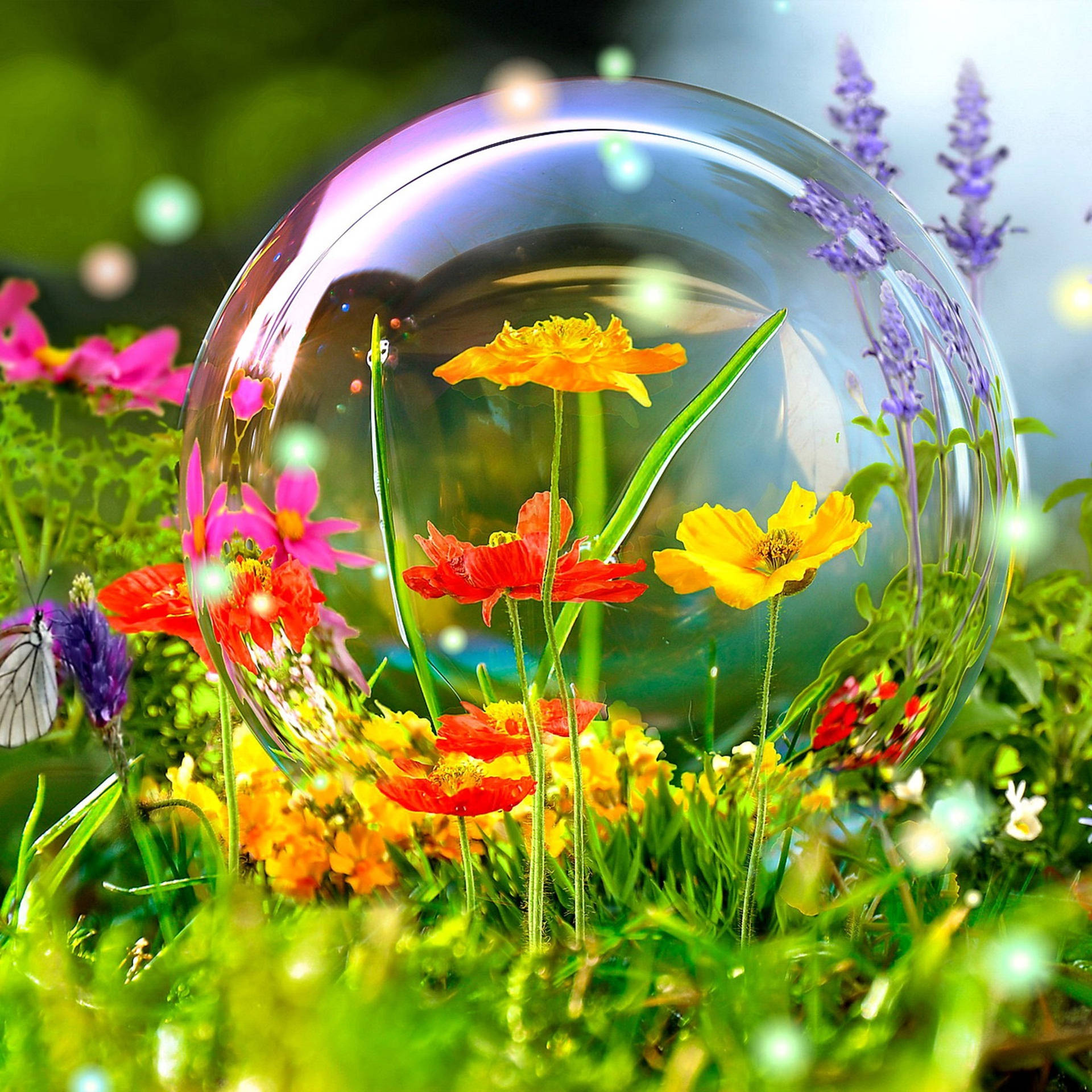 Download Flowers In A Bubble Nature Summer Screen Saver Wallpaper