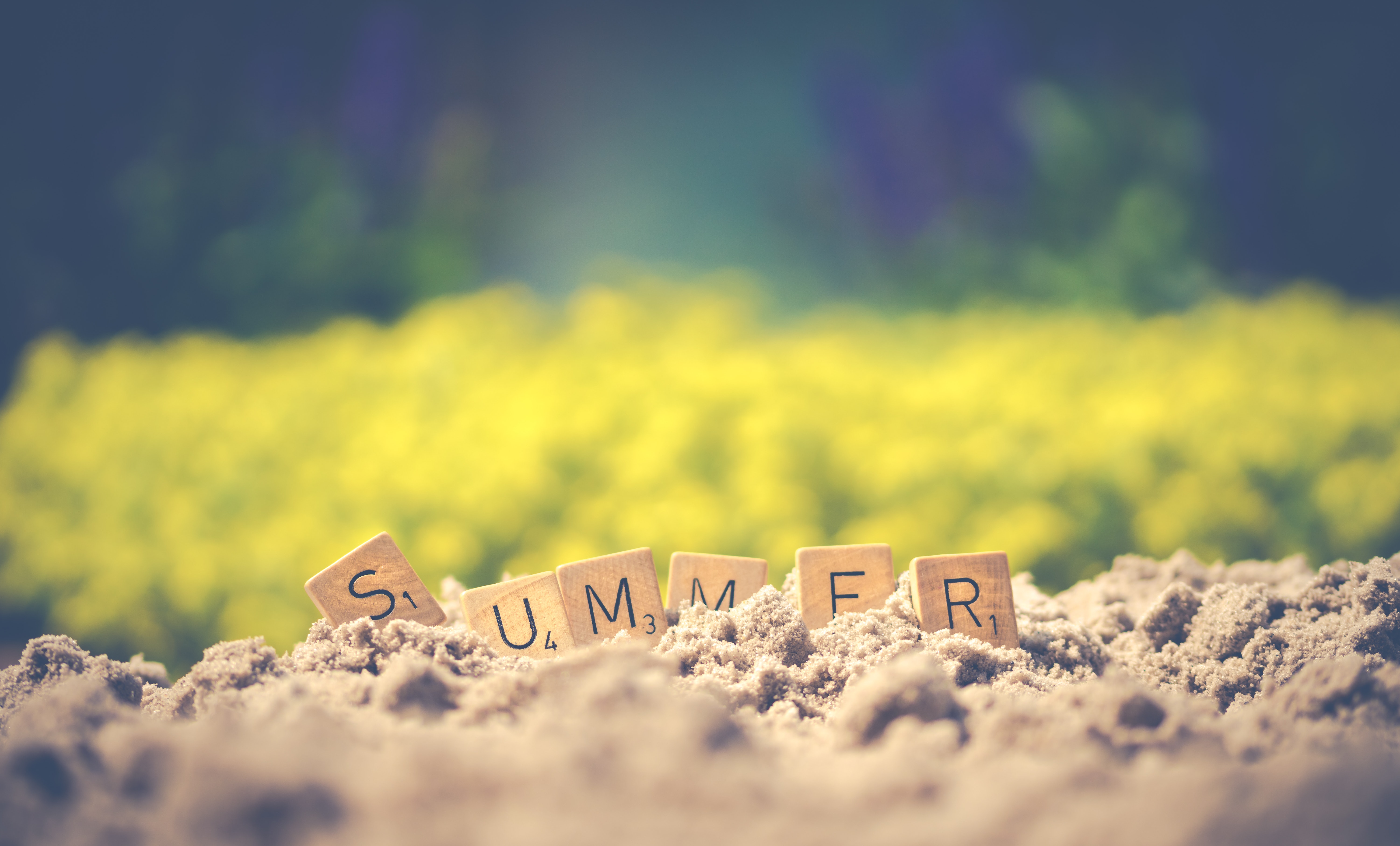 Summer Vibes Photo, Download The BEST