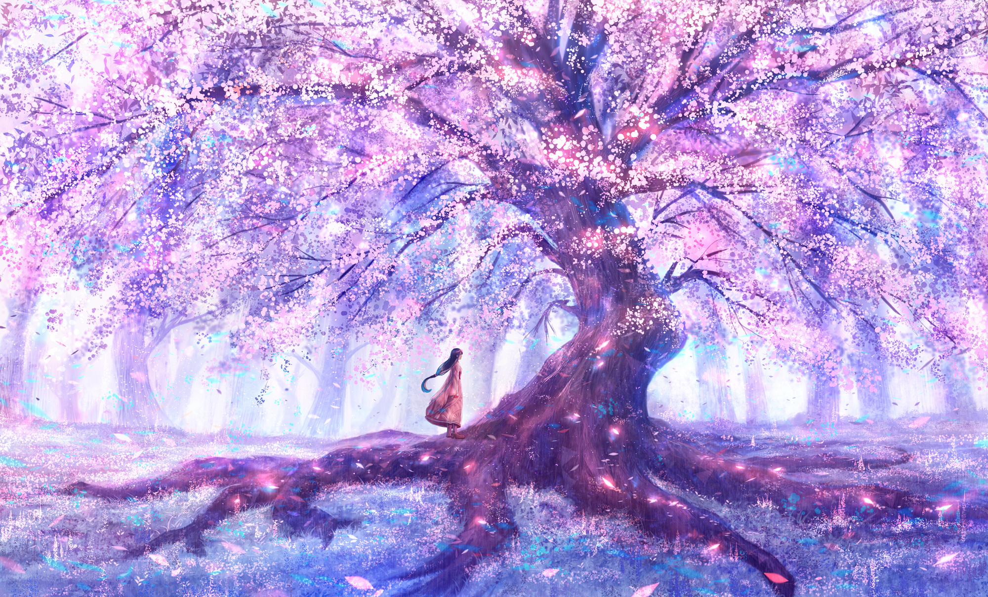 Sakura HD, Flower, Long Hair, Sakura Gallery HD Wallpaper