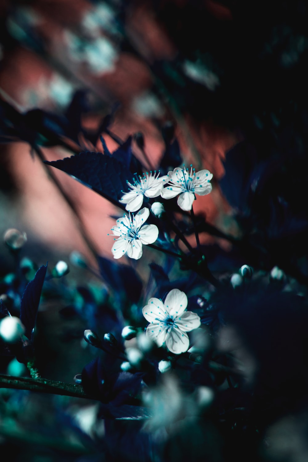 Unrealistic Picture. Download Free Image