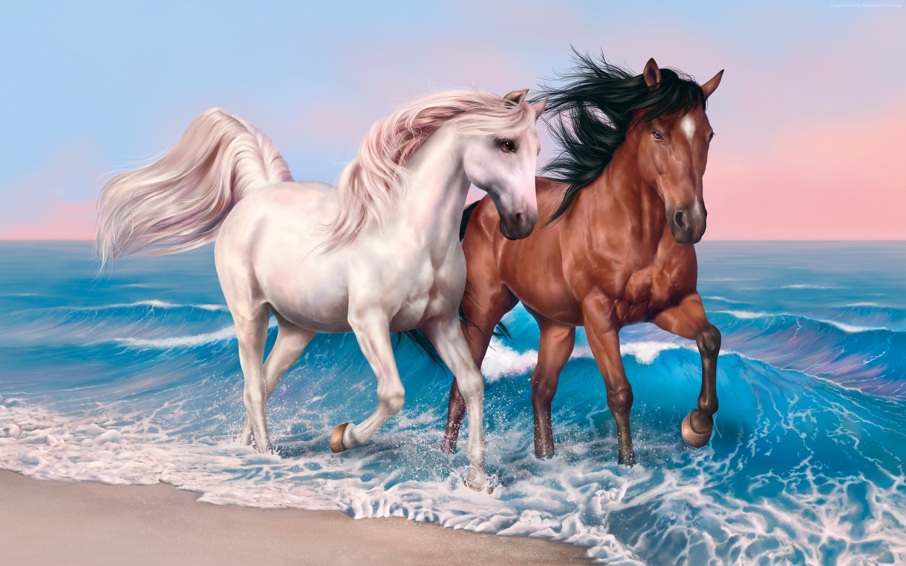 4k, HD wallpaper, ocean, sunset, horses, run, brown, white, sea Gallery HD Wallpaper