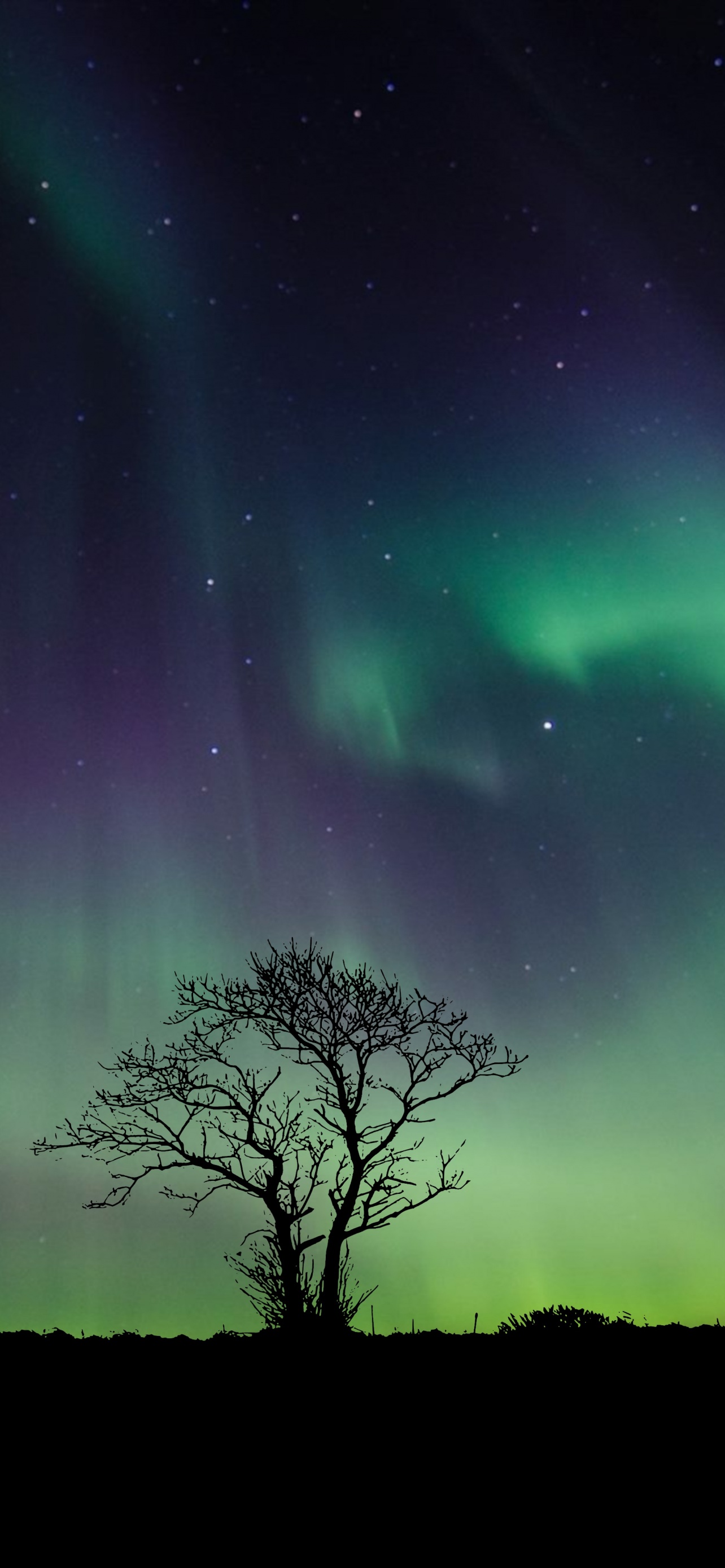 Aurora Borealis Wallpaper 4K, Northern Lights, Night, Nature