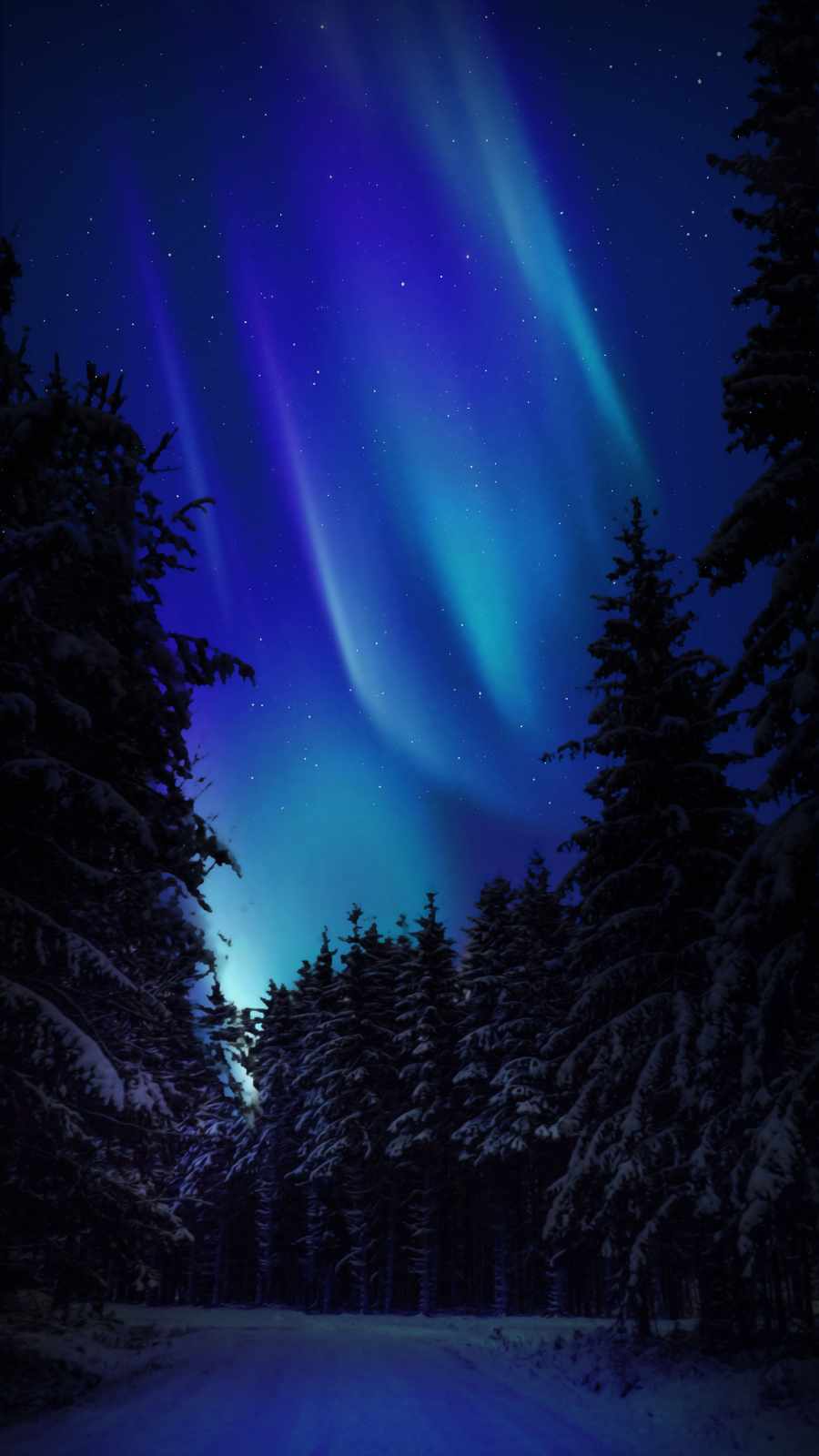 Northern Lights Snow Night Wallpaper, iPhone Wallpaper