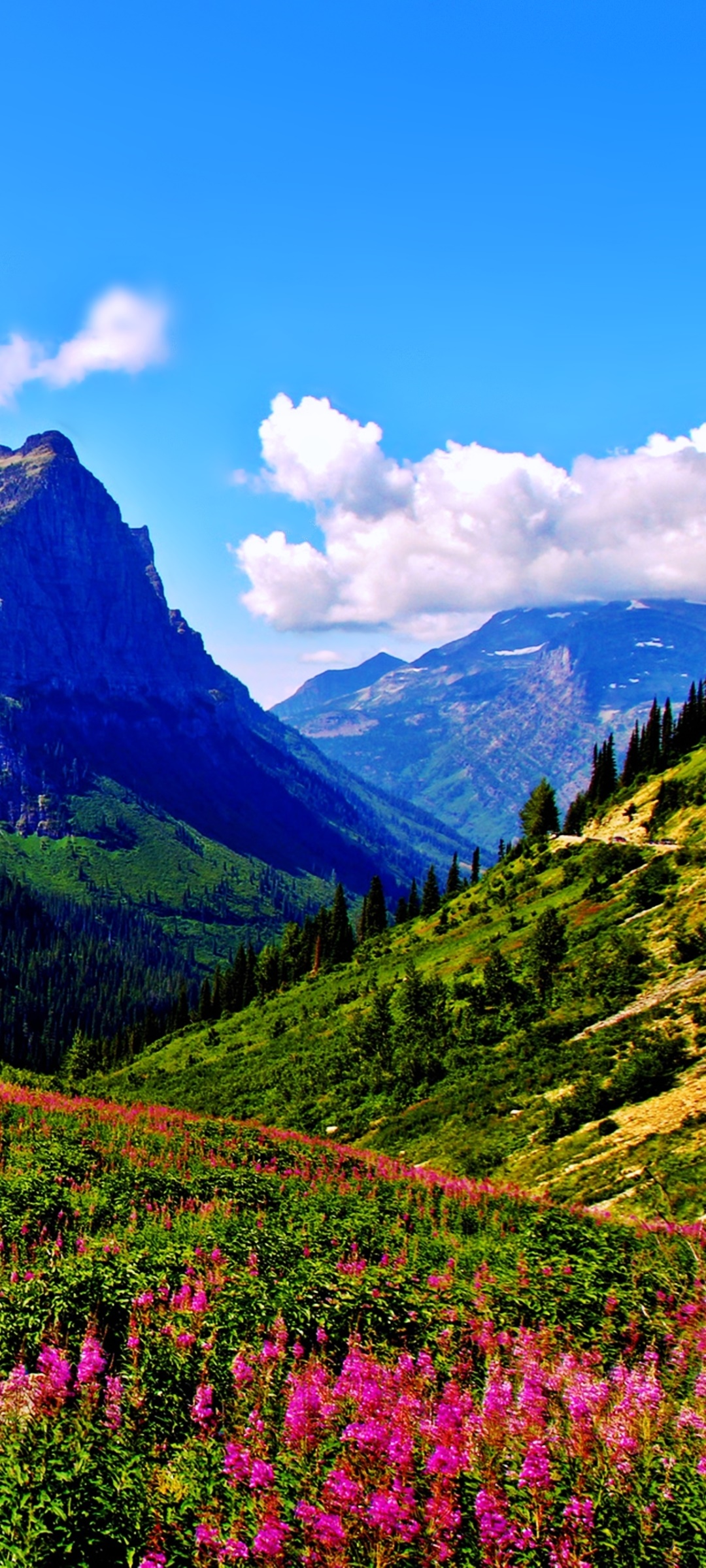 Wallpaper / Earth Landscape Phone Wallpaper, Mountain, Spring, Nature, 1080x2400 free download