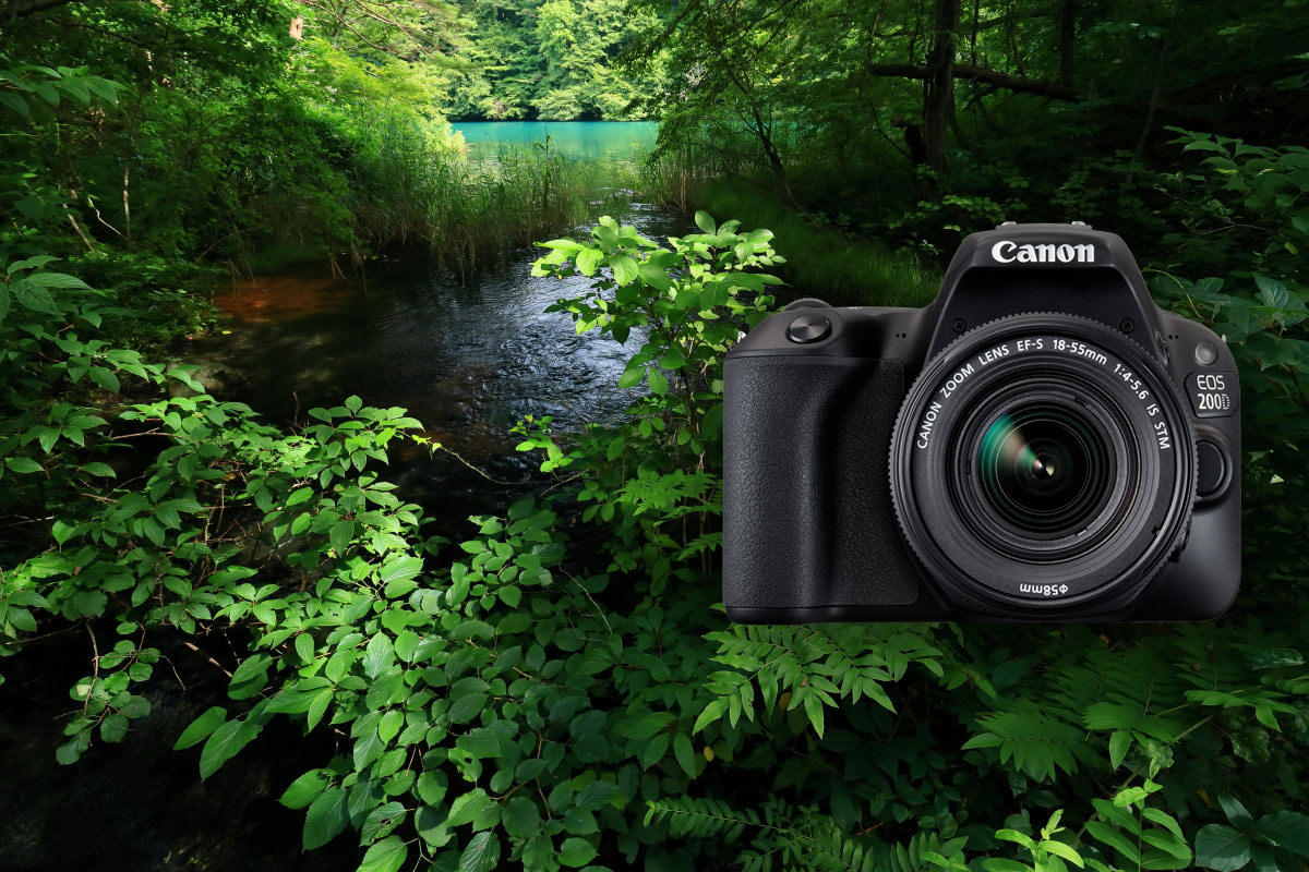 Landscape Photography with the EOS 200D: A Review with Sample Image