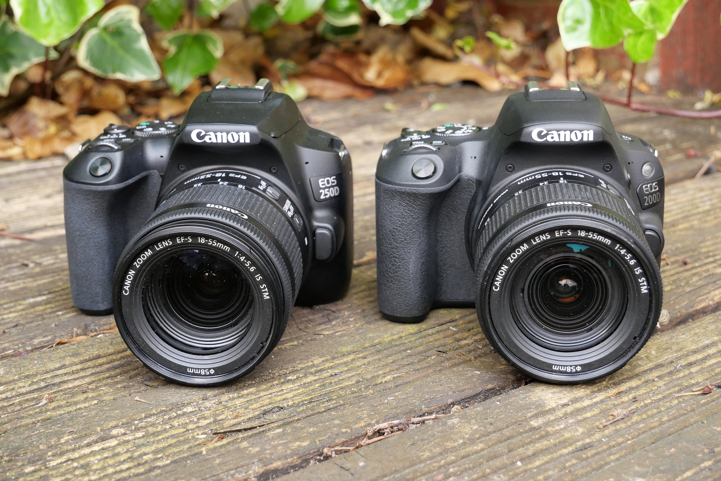 Canon 250D vs Canon 200D: which should you buy?