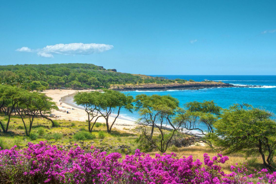 Lanai Beach Wallpaper