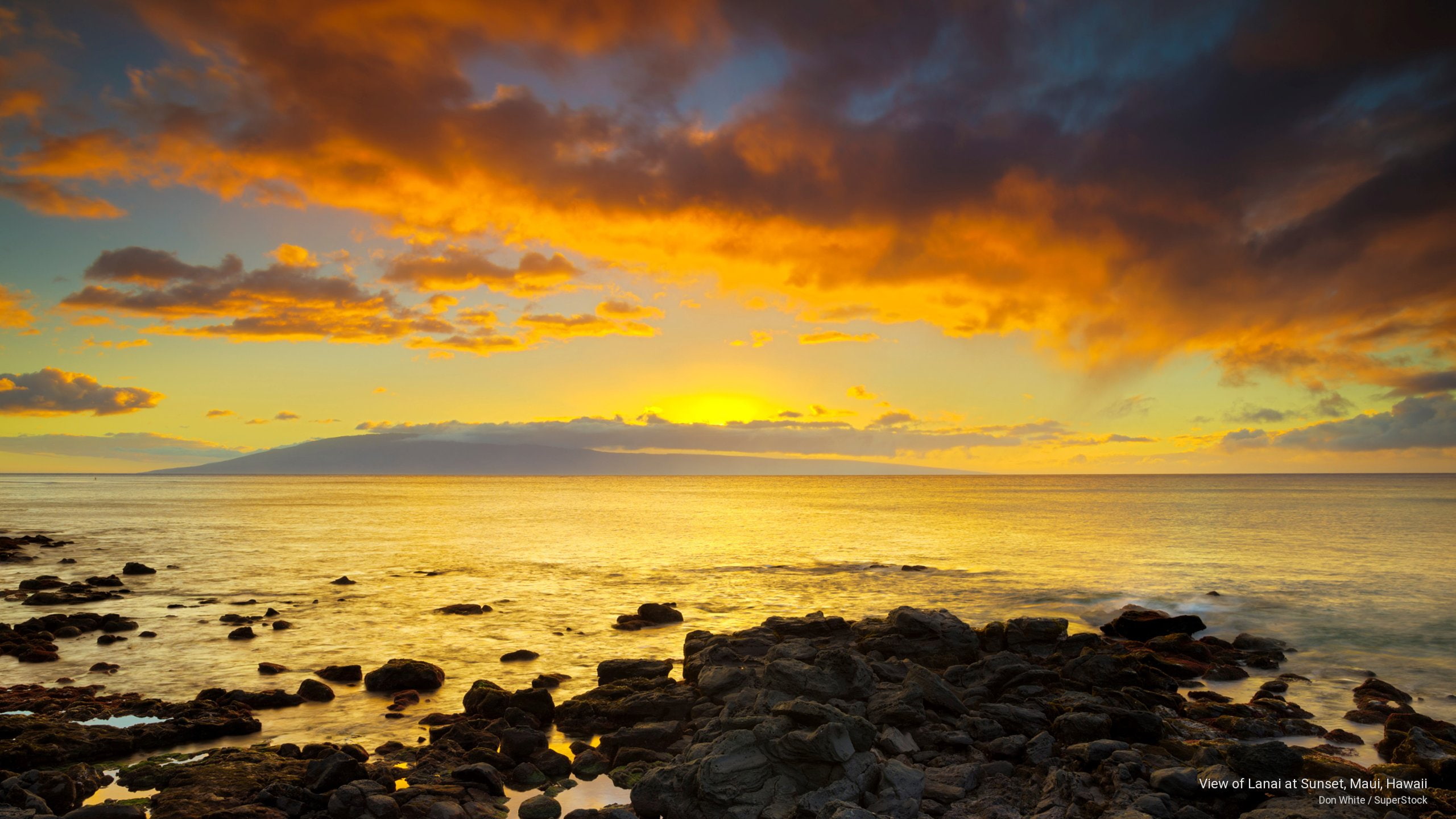 Wallpaper / park Made Space, grass, day, rock statue, sculpture, lanai, dole park, Statue, plant, human representation, communication, Lanai City, growth, hawaii free download
