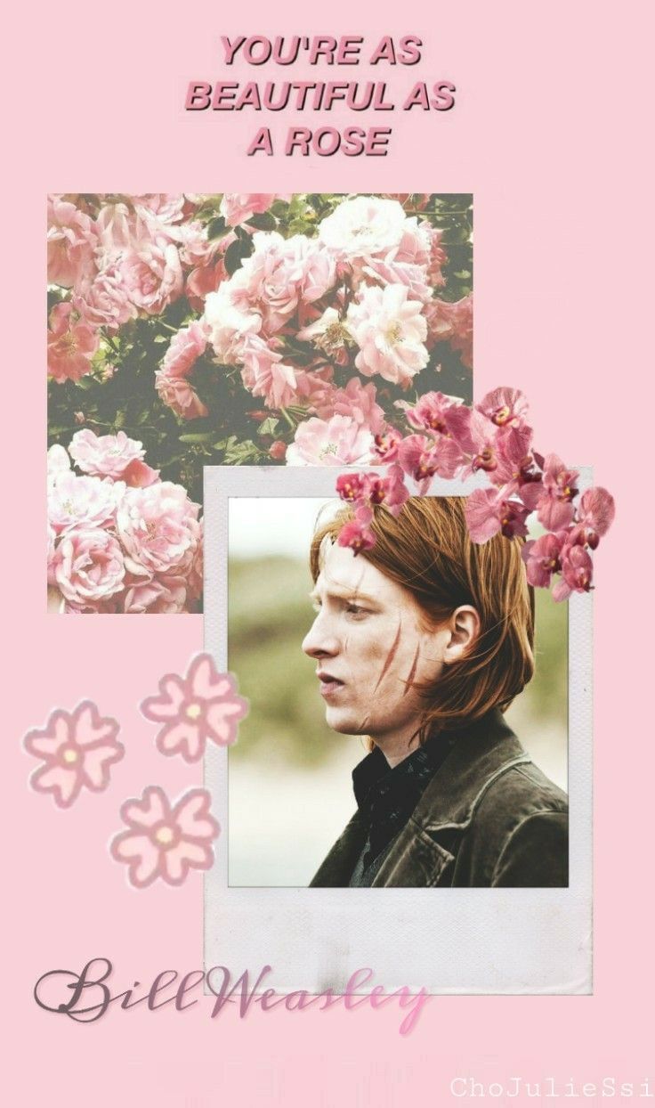 Bill Weasley wallpaper. Harry potter wallpaper, Harry potter, Harry potter fantastic beasts