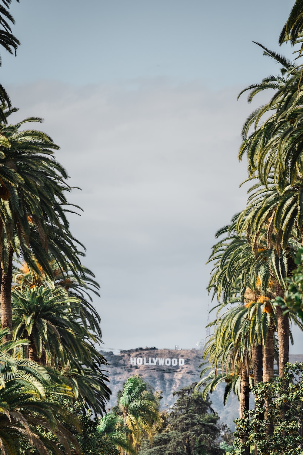 Green palm trees near white concrete building under white clouds during daytime photo