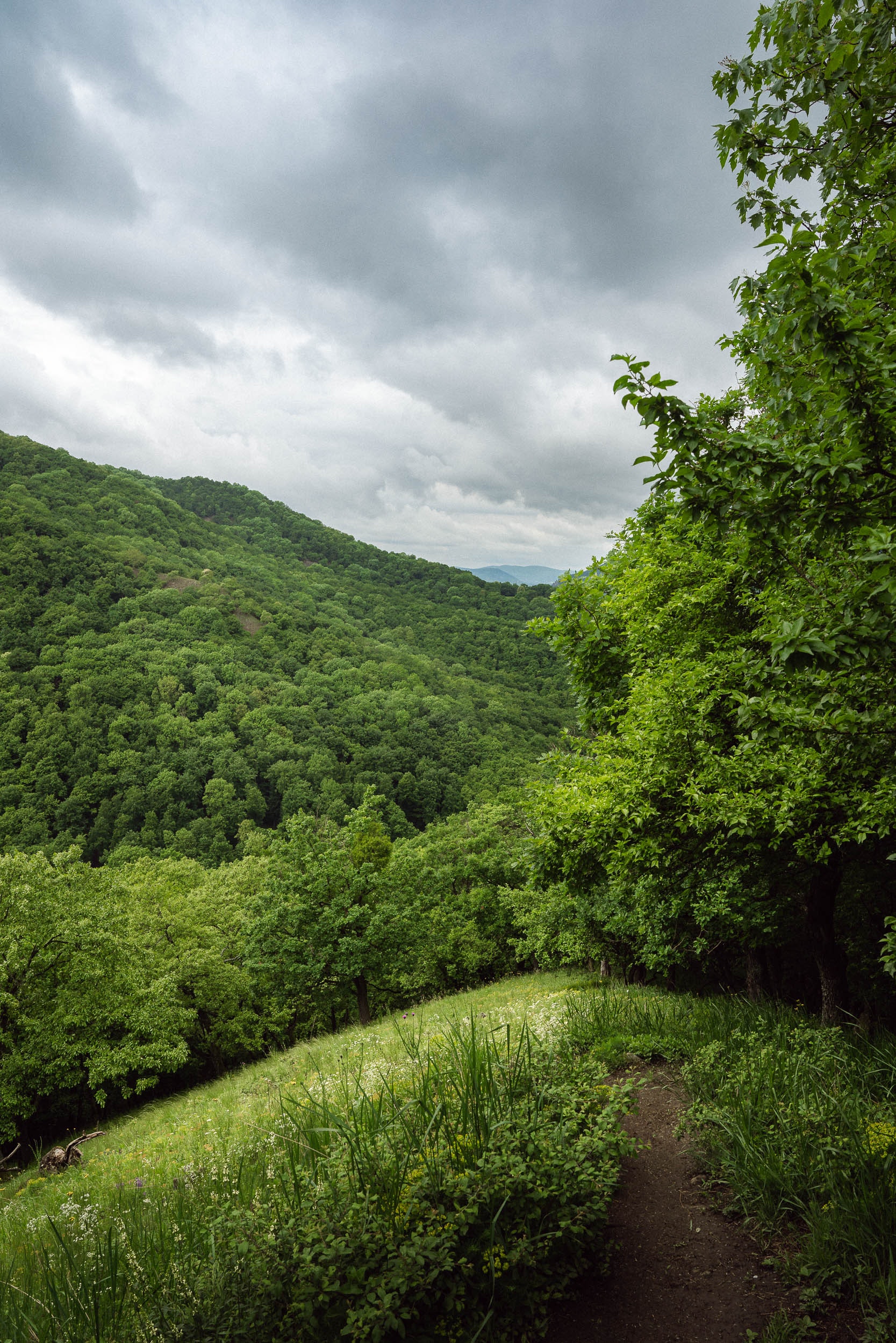 Mountainside Wallpapers Wallpaper Cave