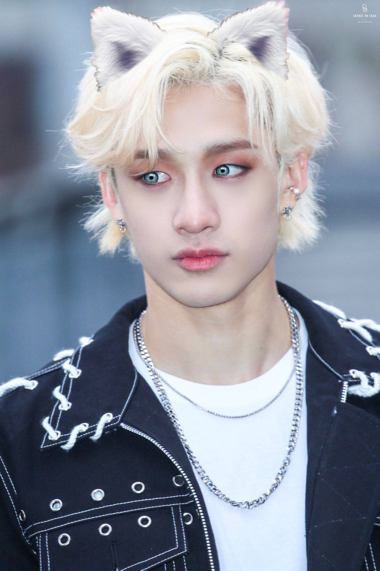 Bang Chan PFP Wallpapers Wallpaper Cave