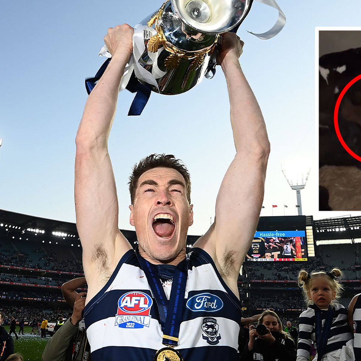AFL News 2022: Jeremy Cameron Reveals How Now Famous Cows Almost Derailed Grand Final Preparations, Geelong Cats News