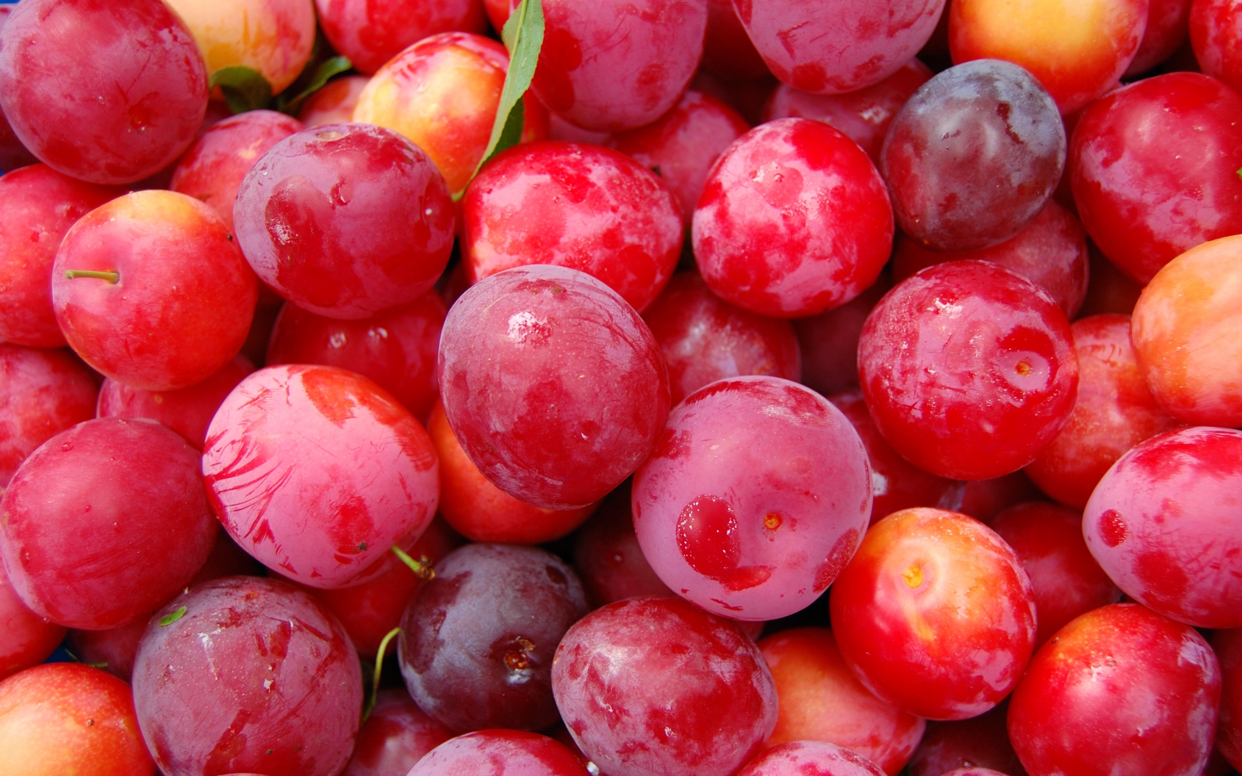 Download Fruits wallpaper for mobile phone, free Fruits HD picture