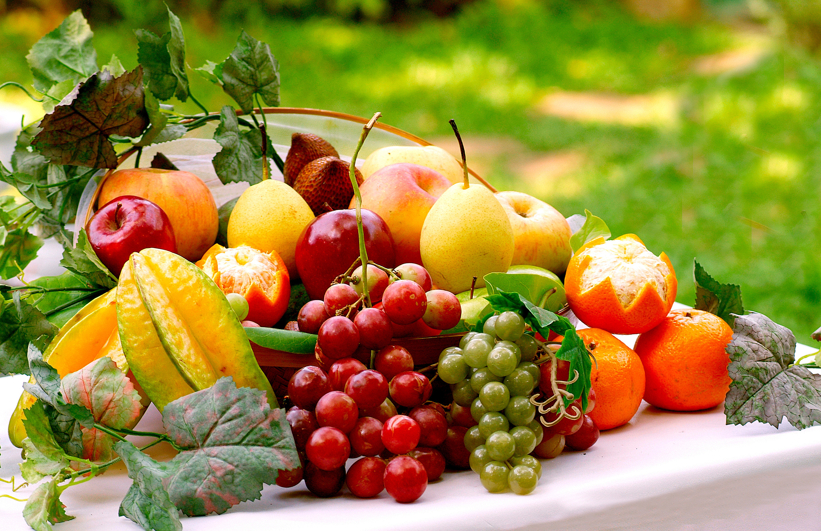 Free Fruit Wallpaper HD