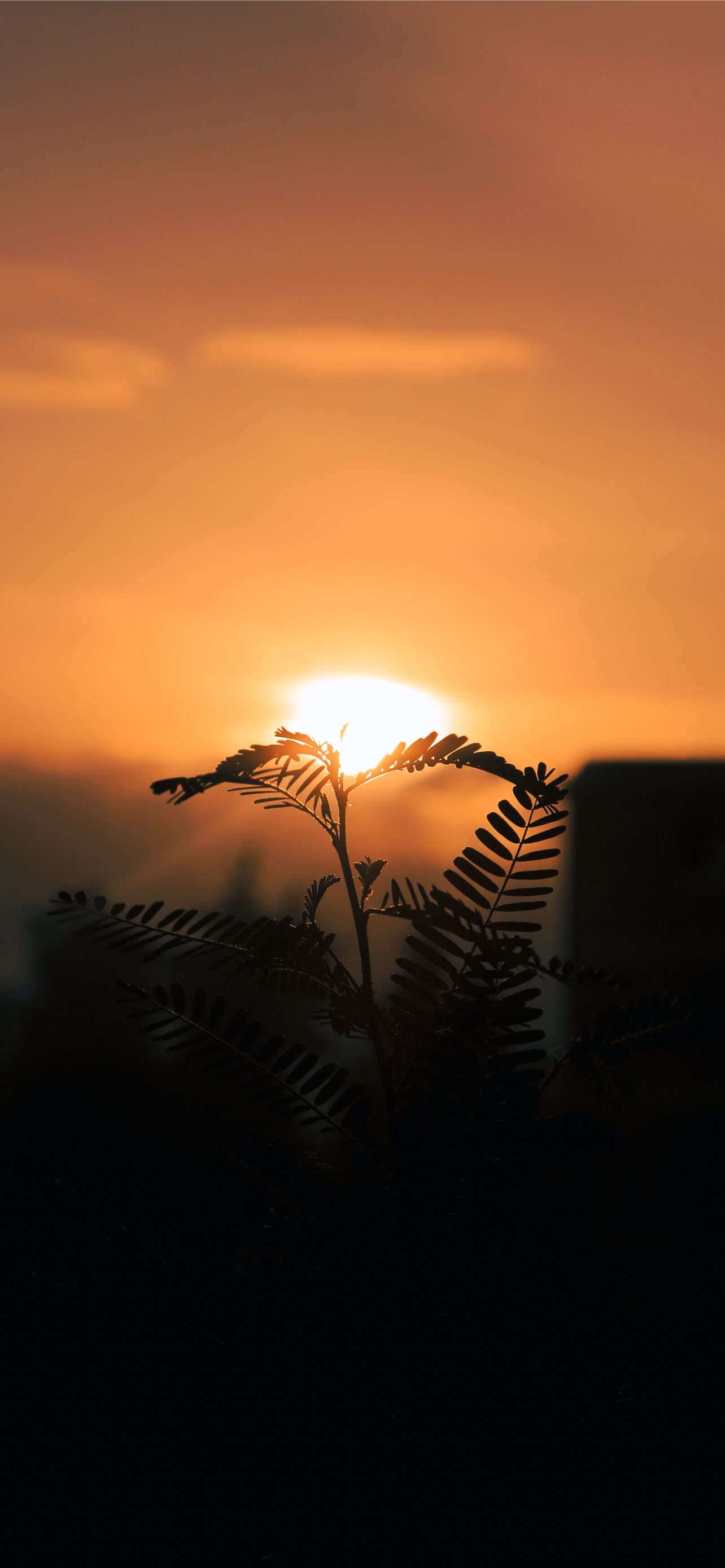 Best Ethiopia iPhone HD Wallpaper