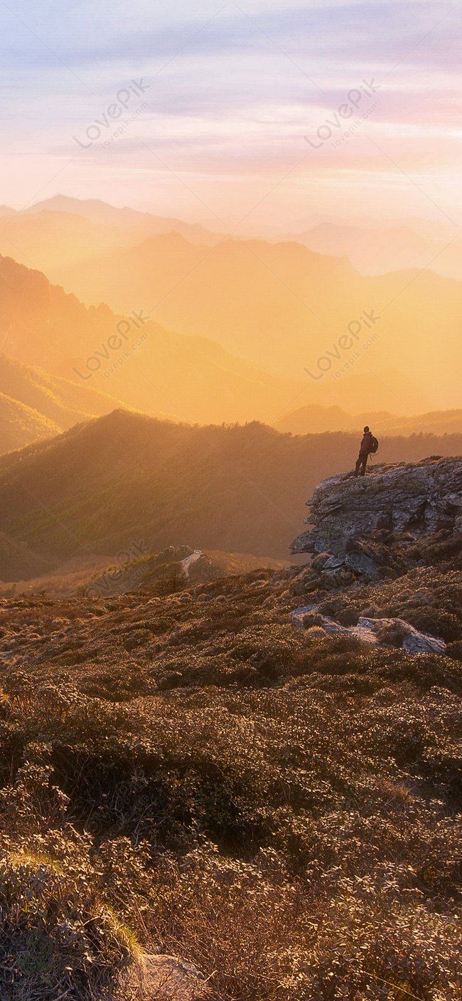 Man And Nature Mobile Phone Wallpaper Image Free Download