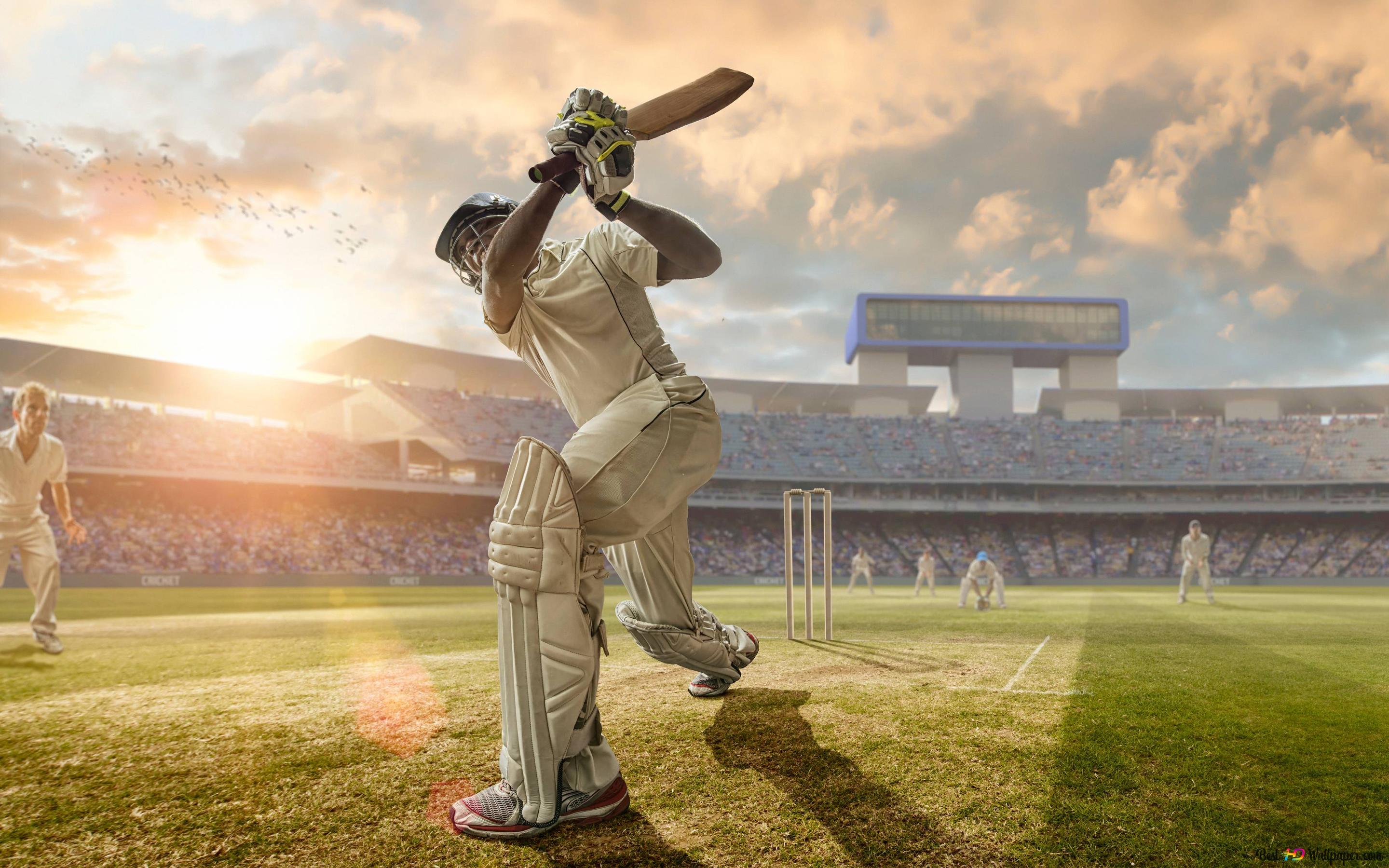 Player wearing protective gear on the cricket pitch hits the ball with a stick 4K wallpaper download