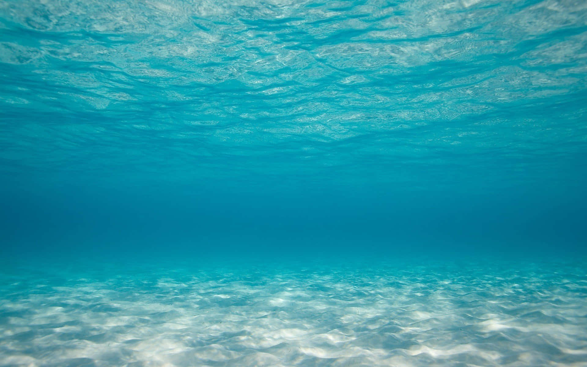 Underwater Background s for FREE