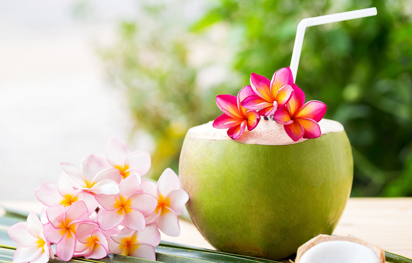 Wallpaper beach, summer, stay, coconut, cocktail, summer, beach, vacation, flowers, drink, coconut, vacation, plumeria, tropical, plumeria image for desktop, section еда