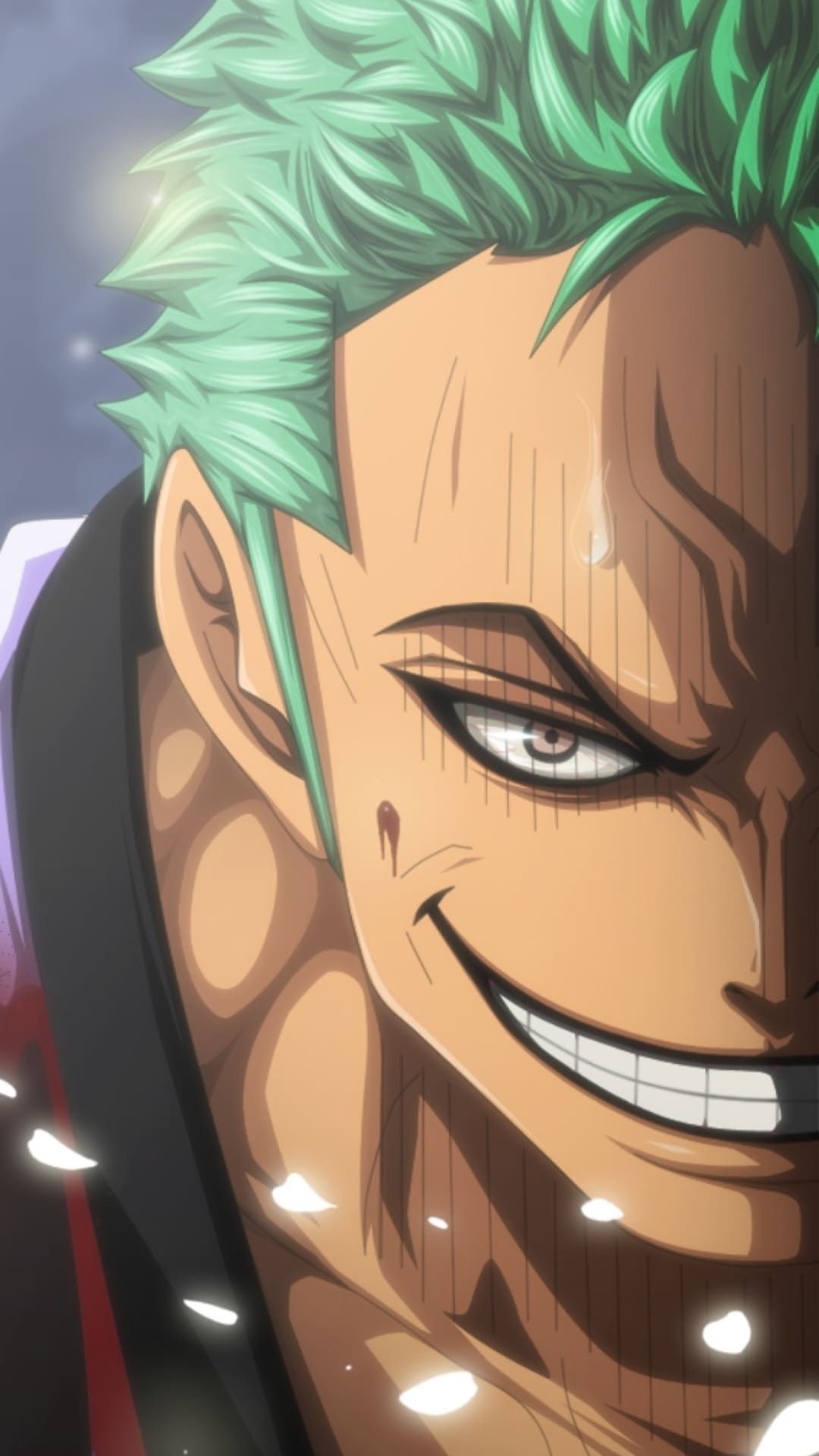 Roronoa Zoro HD Wallpaper