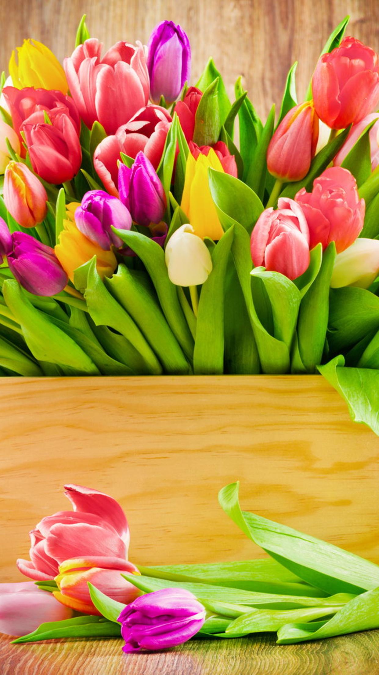 Wonderful bouquet of colorful tulips