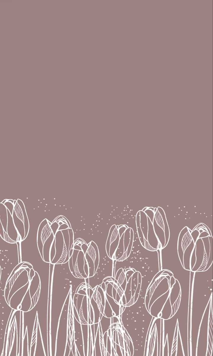 Tulip wallpaper neutral white Instagram spring. iPhone spring wallpaper, Flowery wallpaper, Wallpaper nature flowers