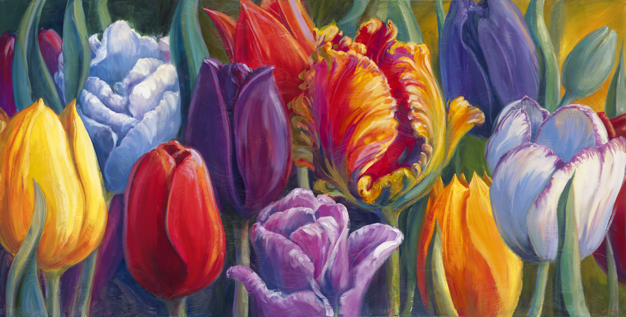 Tulip Town & Tulips