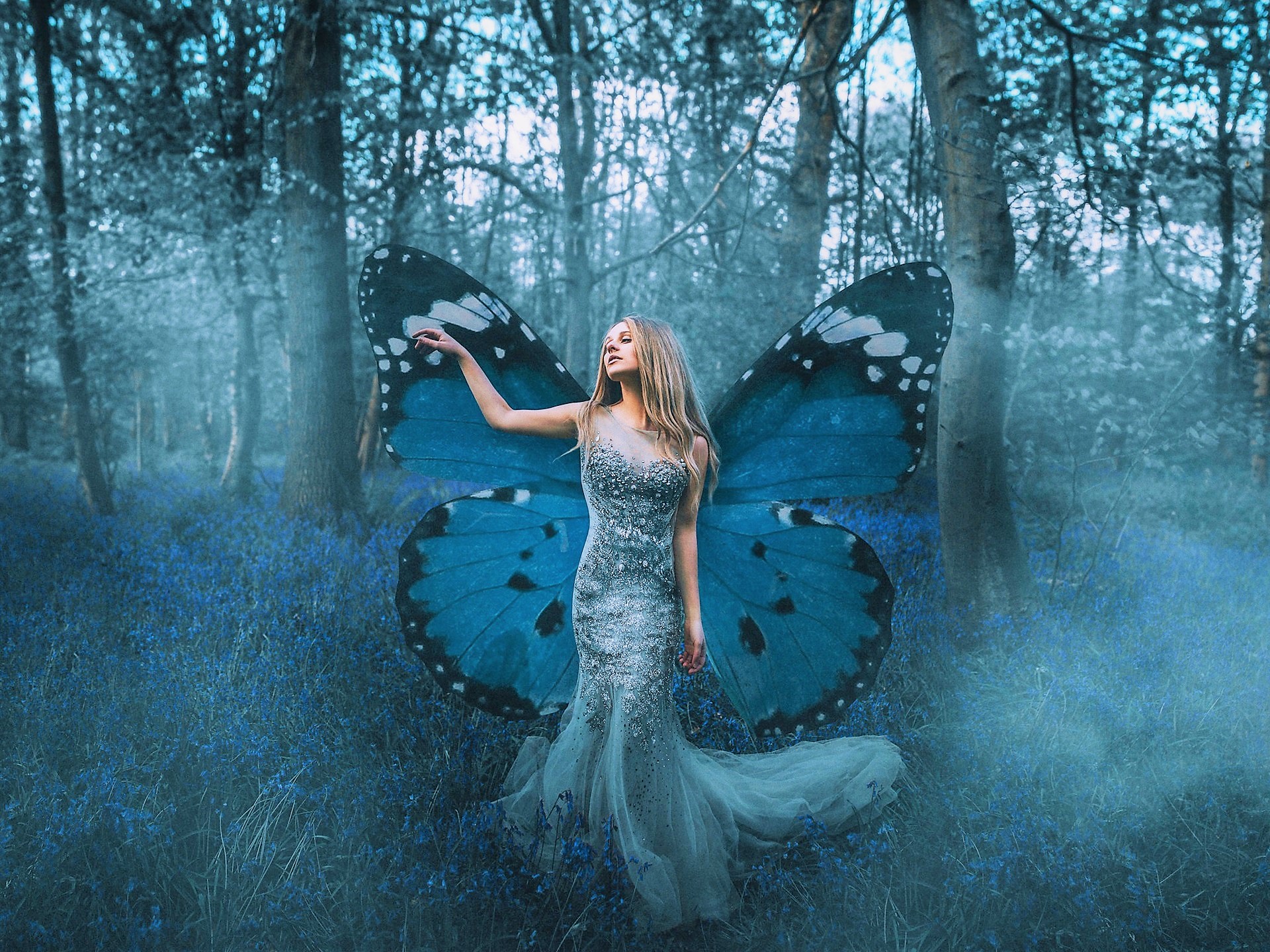Forest, Fantasy, Woman, Fairy, Blue, Girl, Butterfly Gallery HD Wallpaper