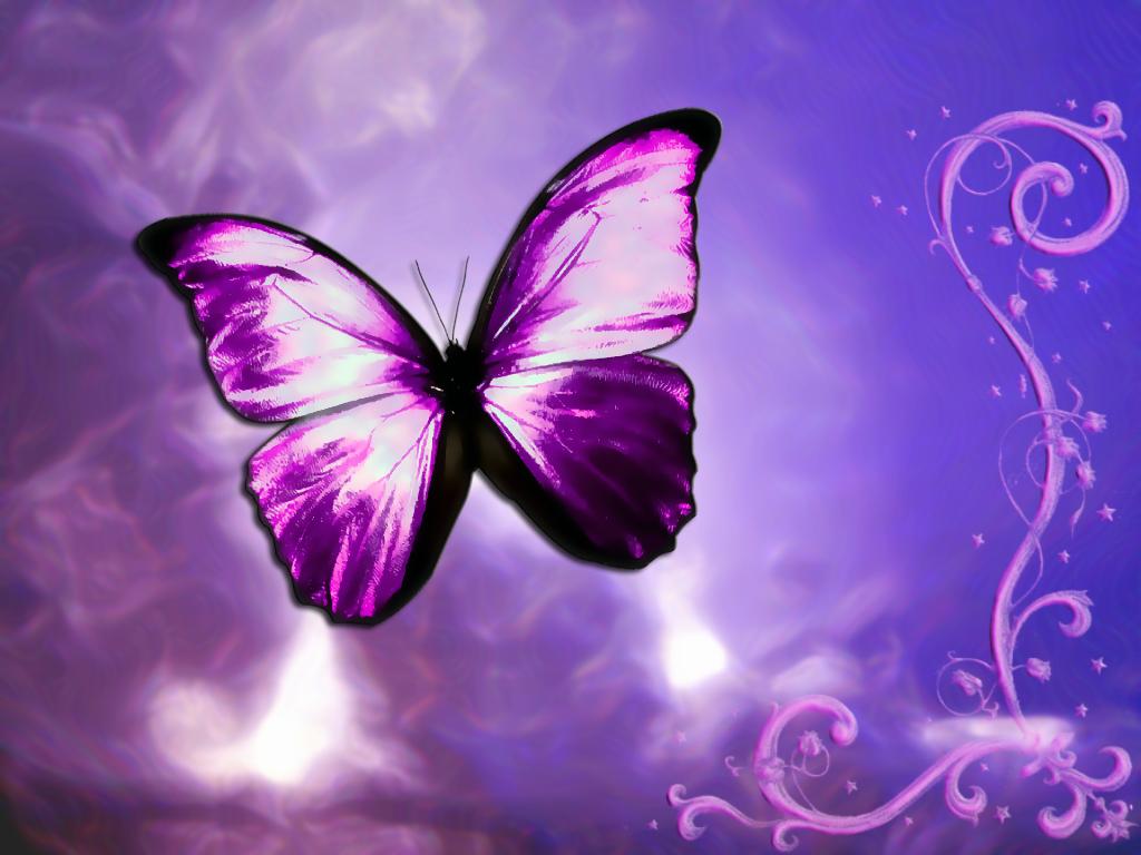 Butterfly Wallpaper