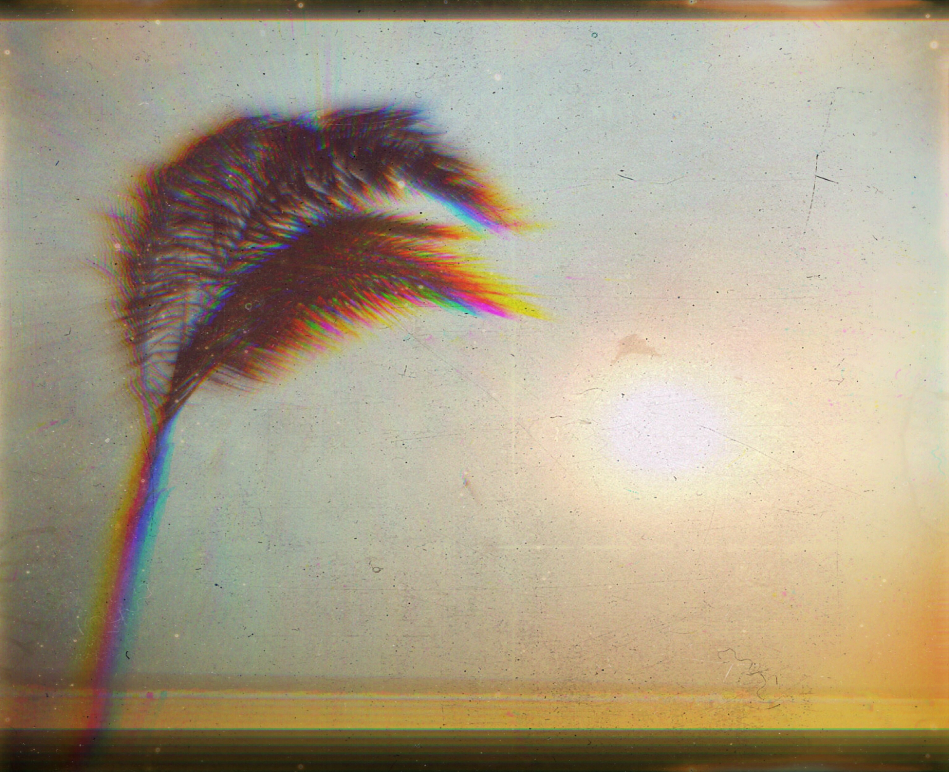 Wallpaper, painting, sky, beach, summer, ART, feather, palmtree, modern art, close up, afterlight, mextures, glitchart, glitche, visual arts 3072x2498