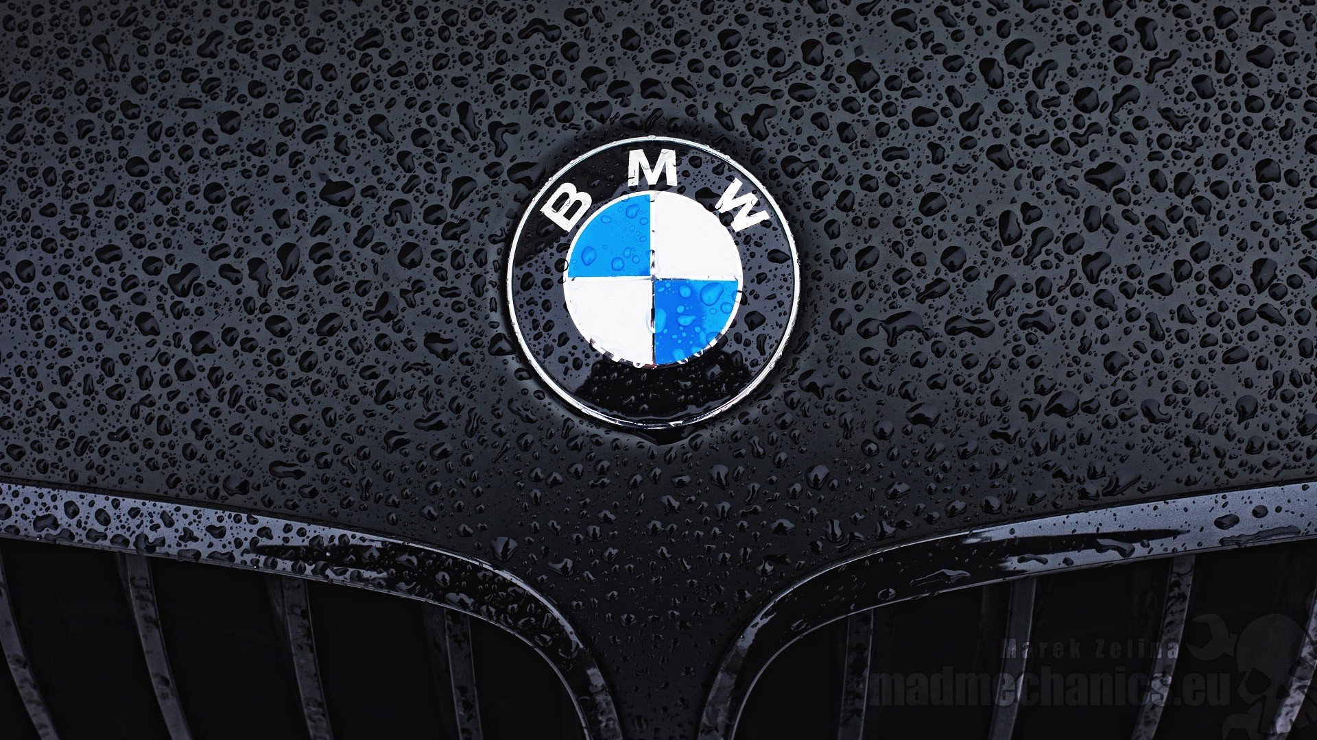 BMW Logo Wallpaper