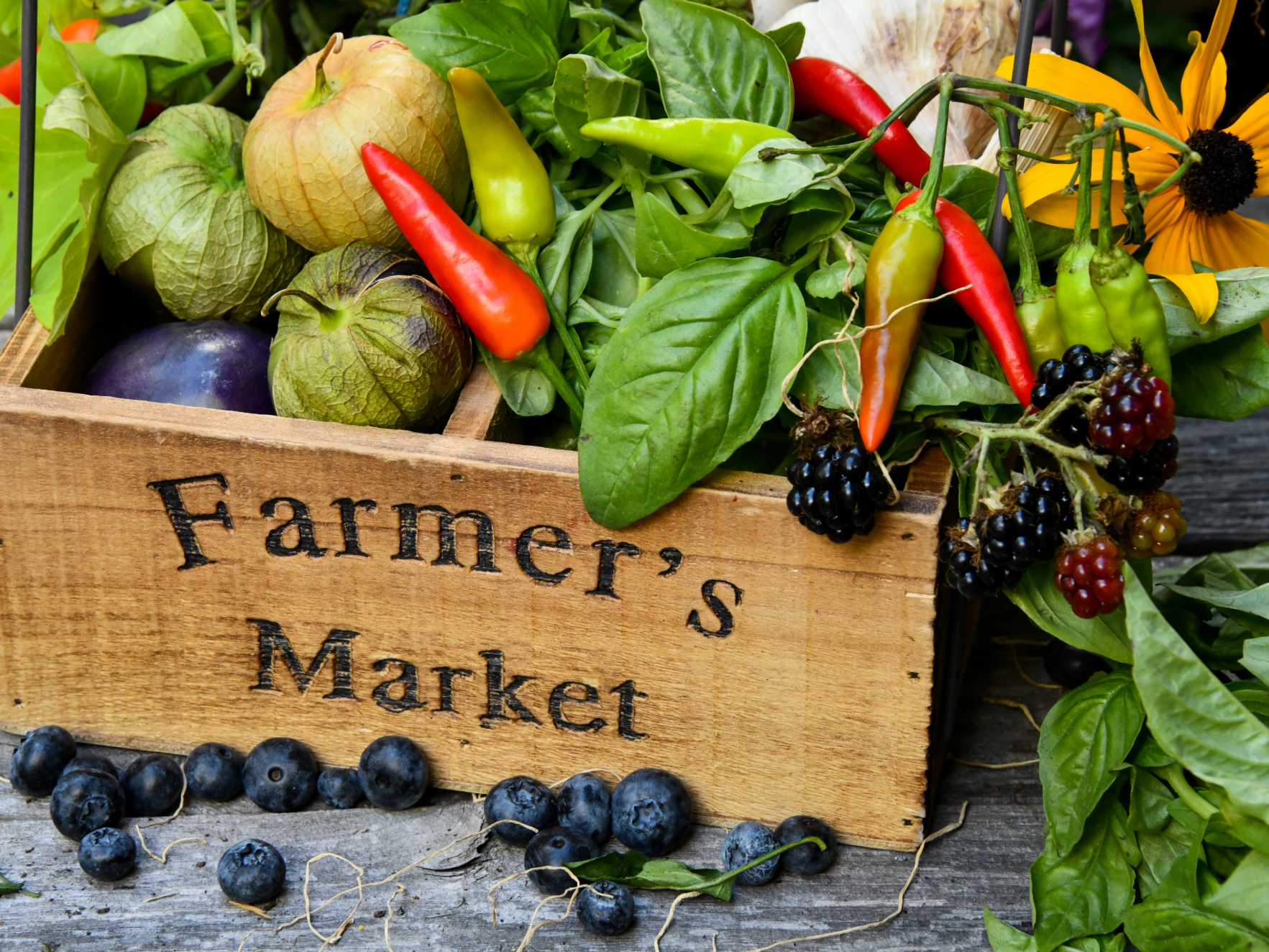 Top Five Farmers Markets Community Media