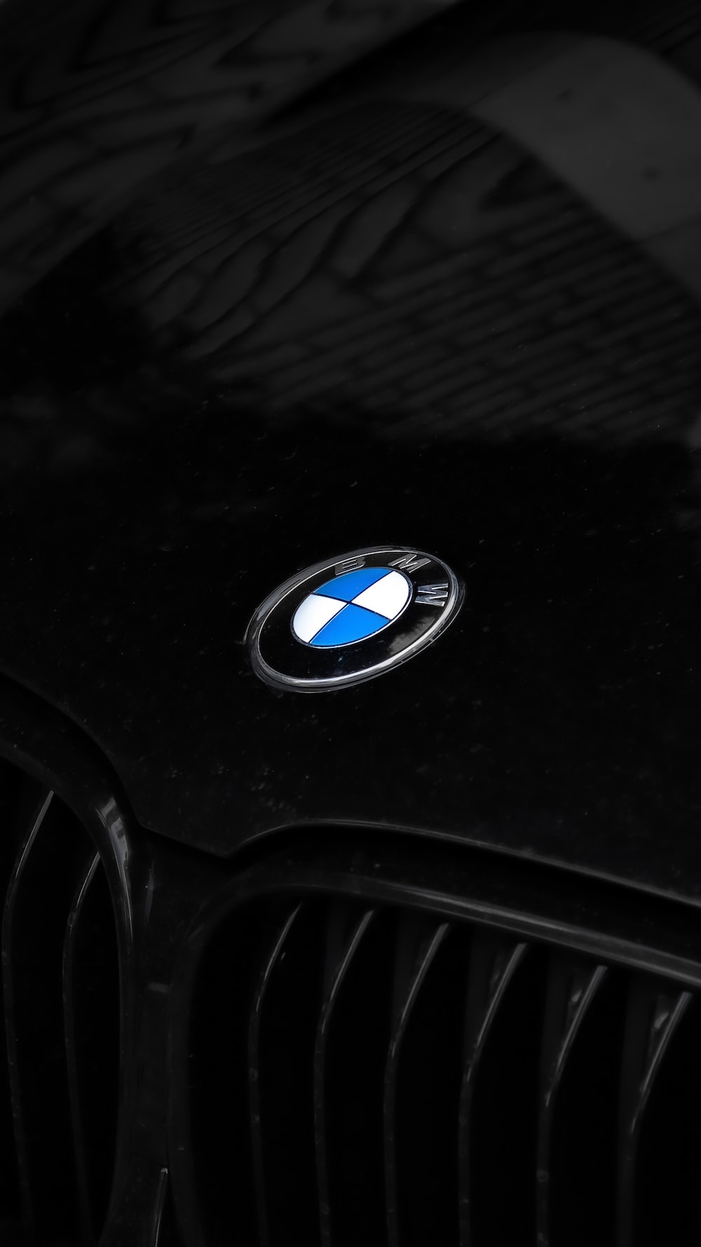 Bmw Logo Picture. Download Free Image
