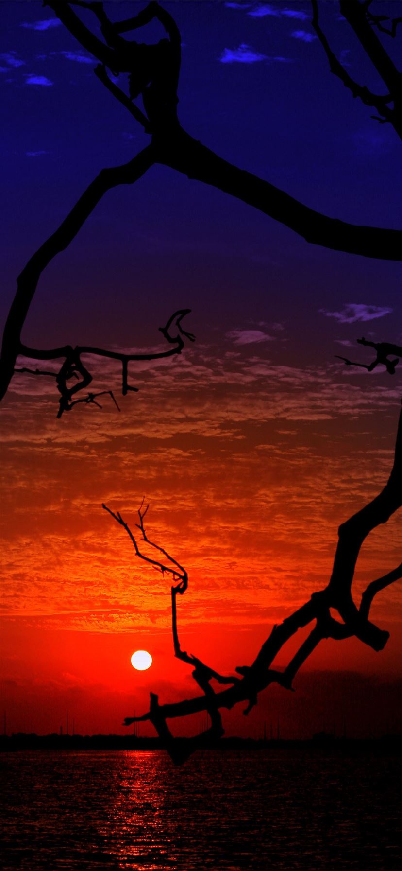 Latest 100 most beautiful places to visit iPhone 11 HD Wallpaper