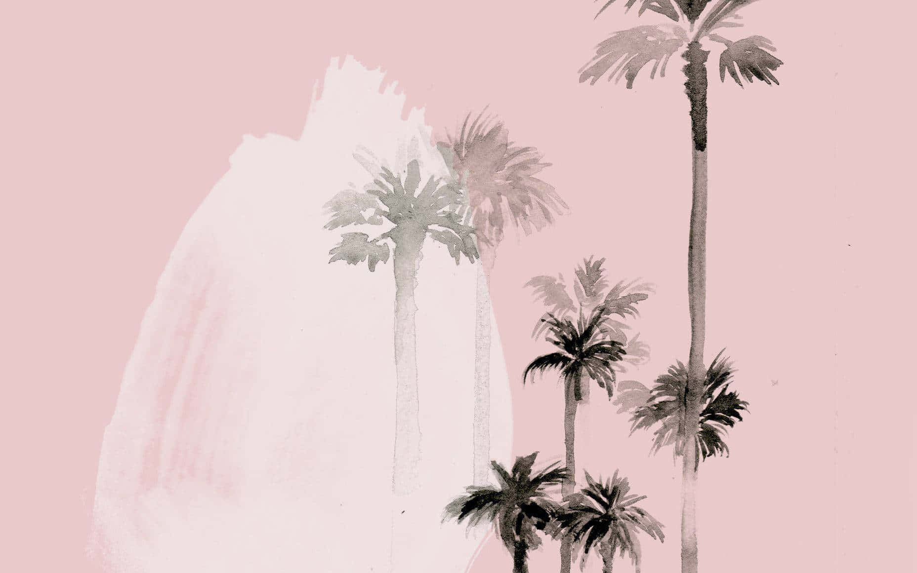 Download Palm Trees On A Pink Background Wallpaper