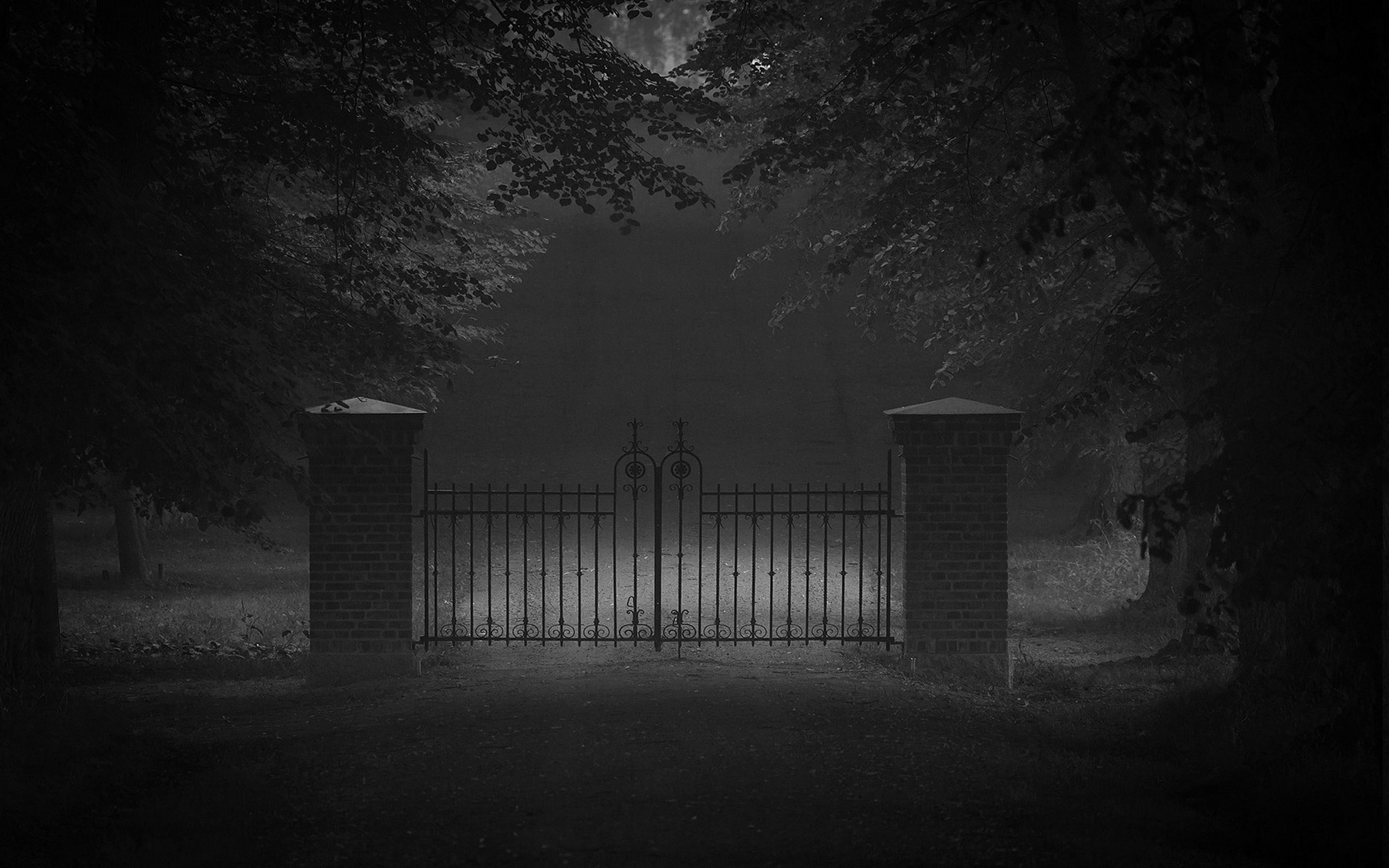 Free download nature Landscape Monochrome Dark Trees Door Road Grass [1800x1125] for your Desktop, Mobile & Tablet. Explore Dark Tree Wallpaper. Xmas Tree Wallpaper, Pine Tree Background, Pine Tree Wallpaper